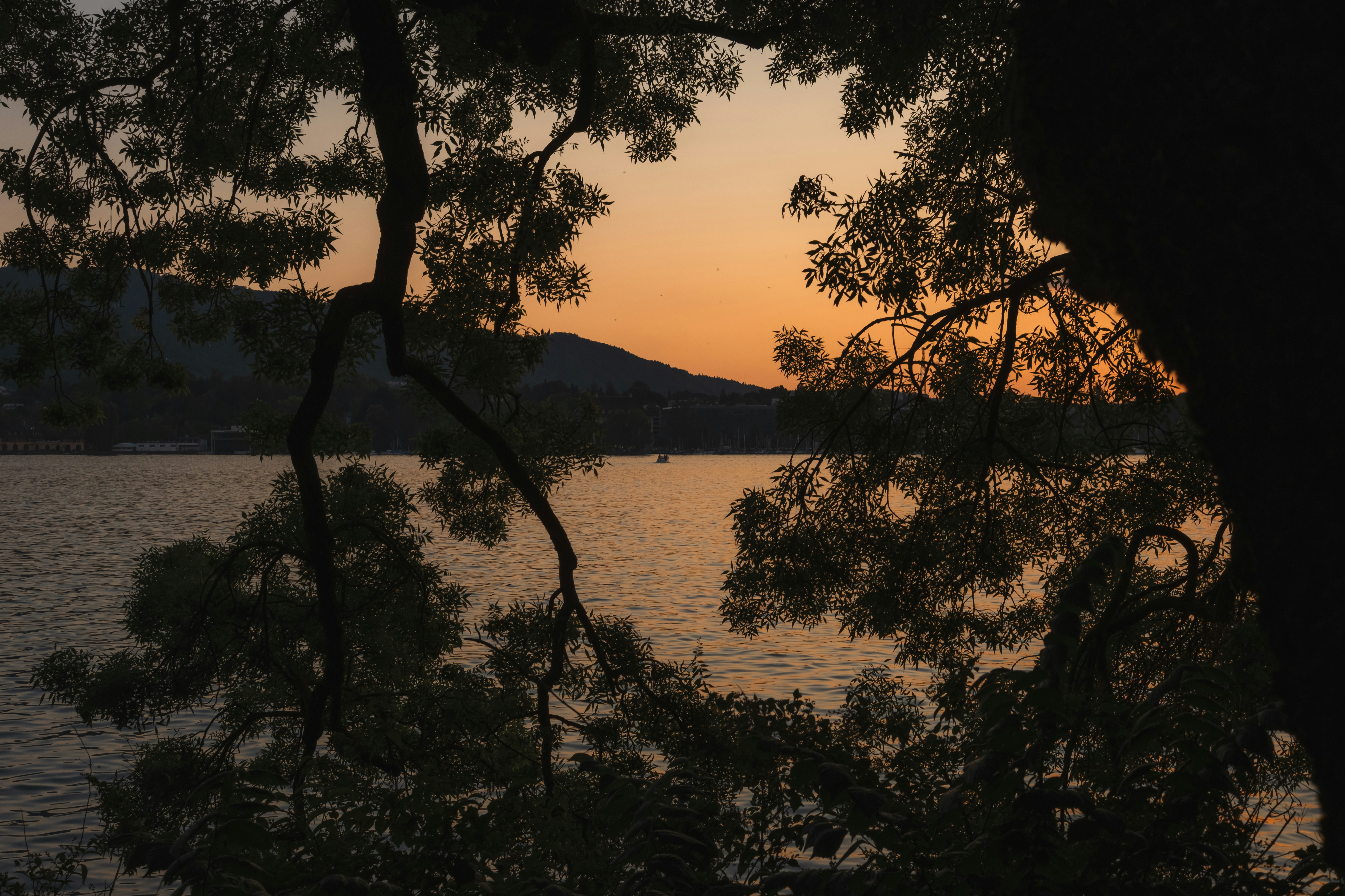 Photo by throughalekslens