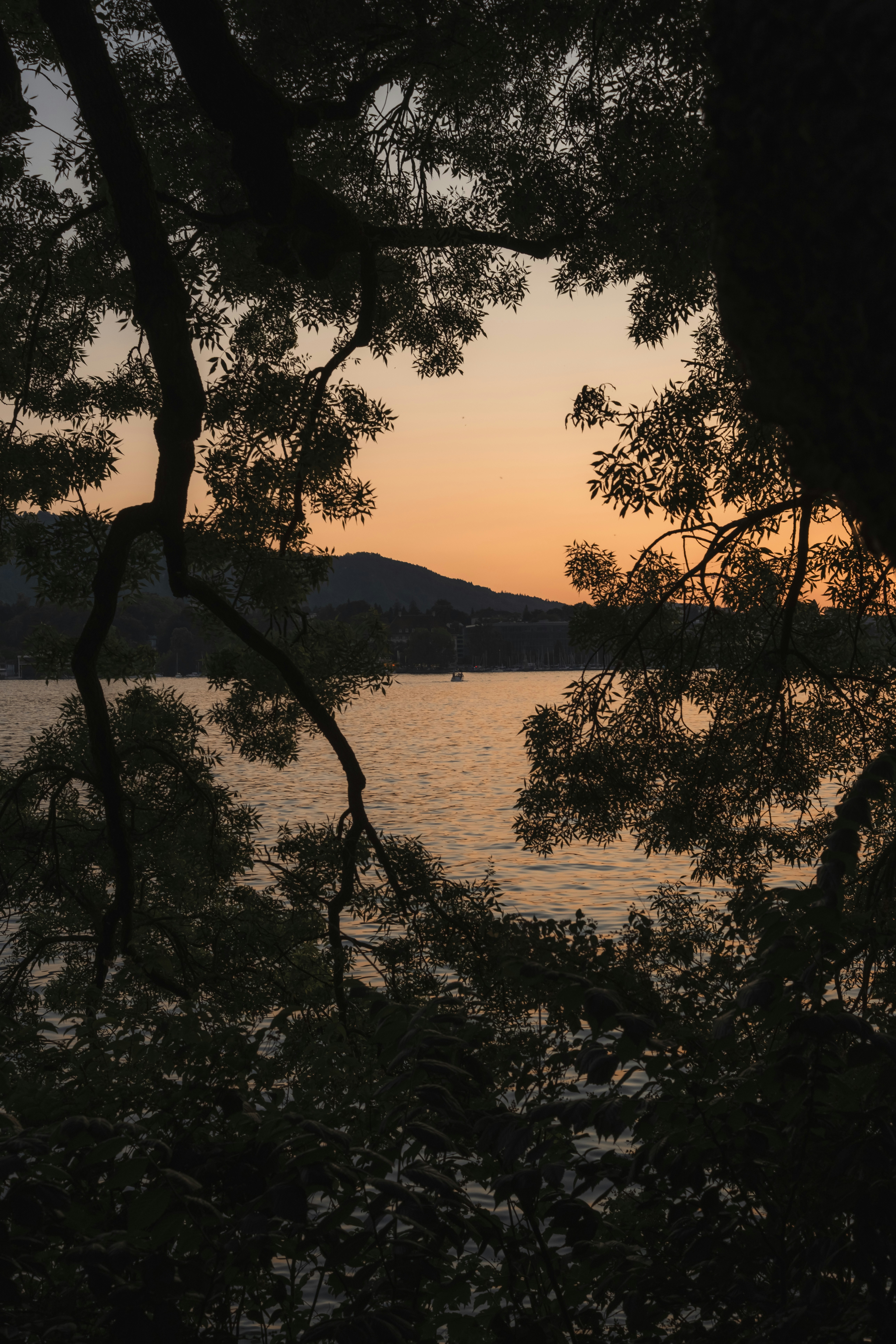 Photo by throughalekslens