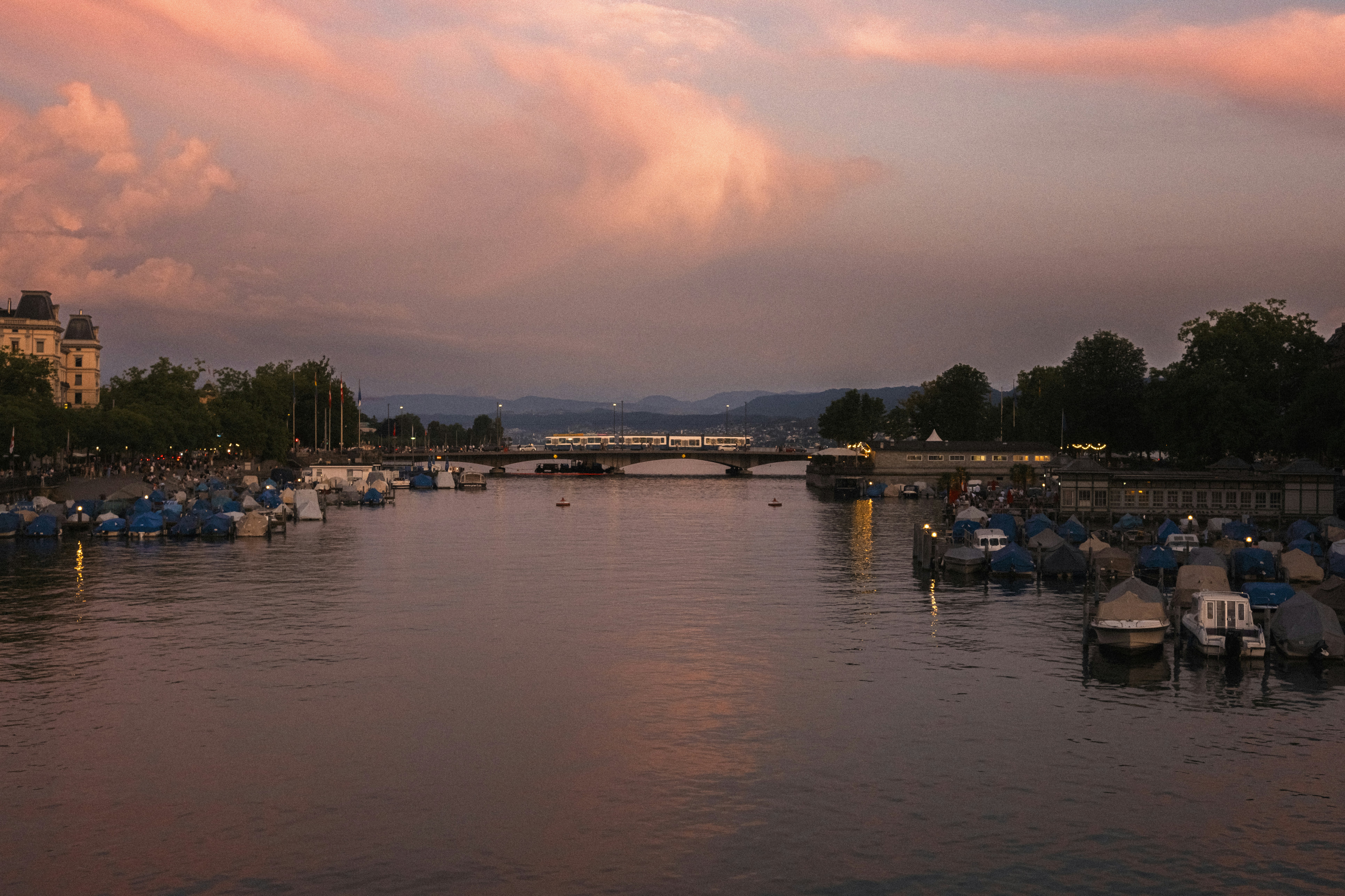 Photo by throughalekslens