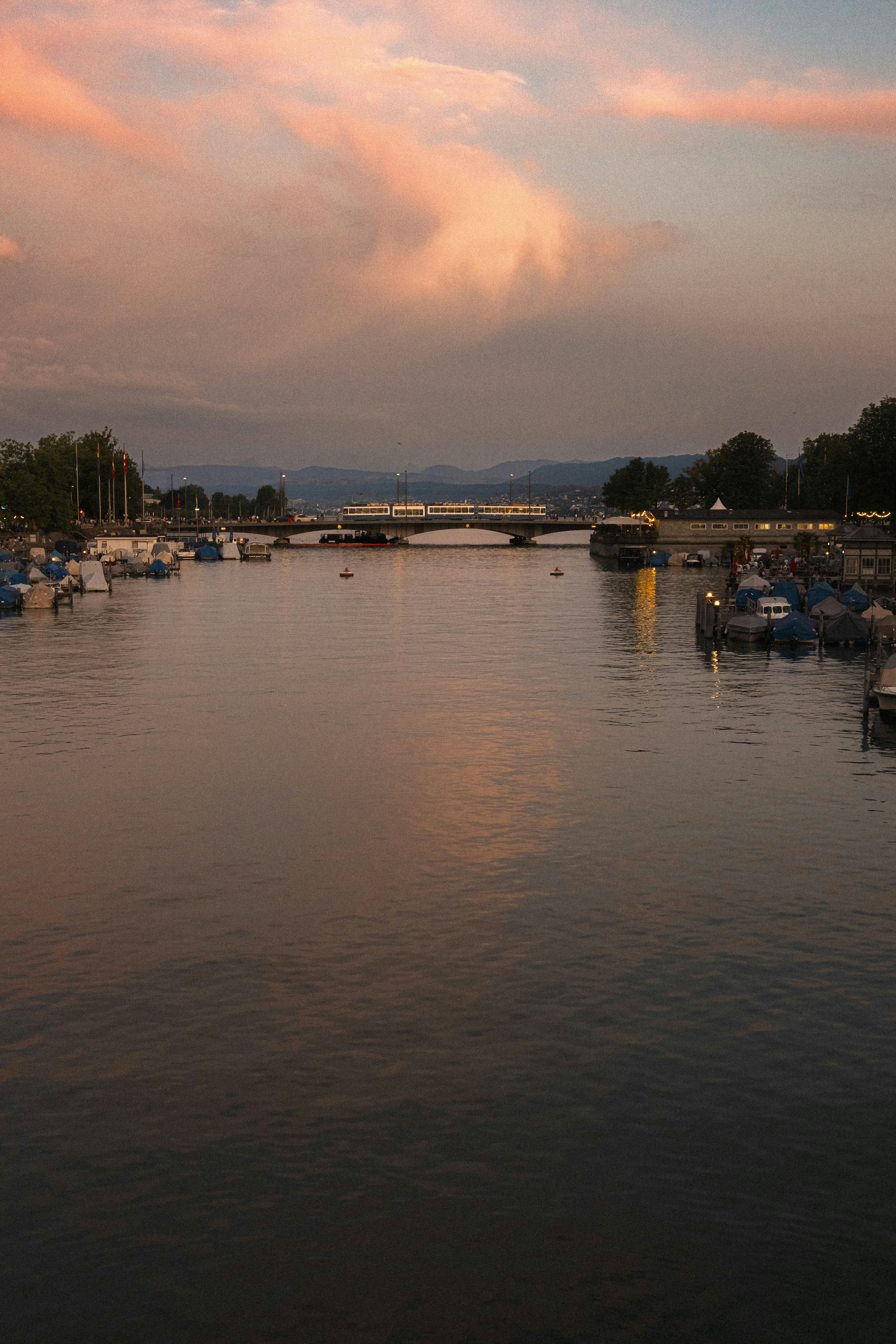 Photo by throughalekslens