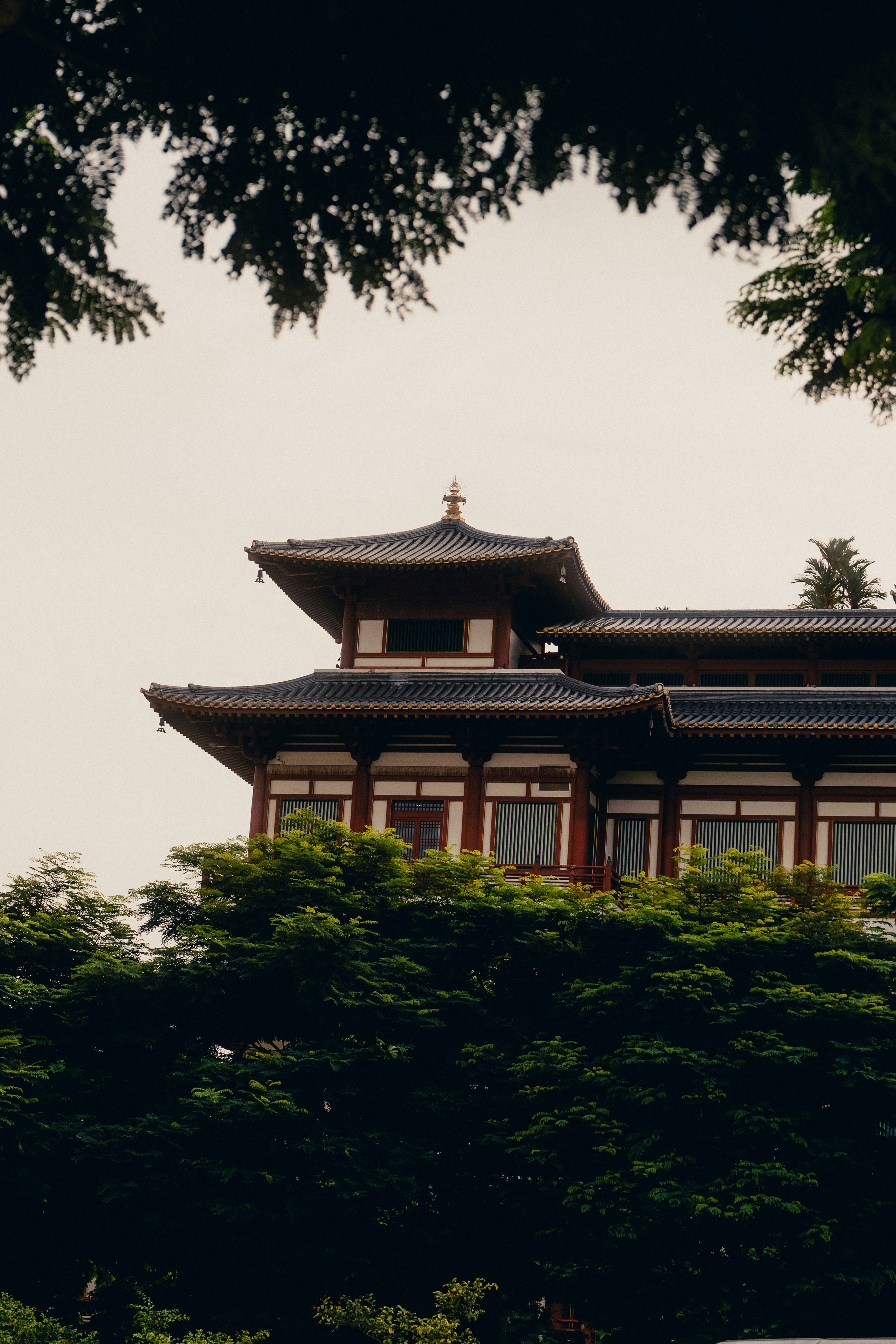 Photo by jaydraws2019