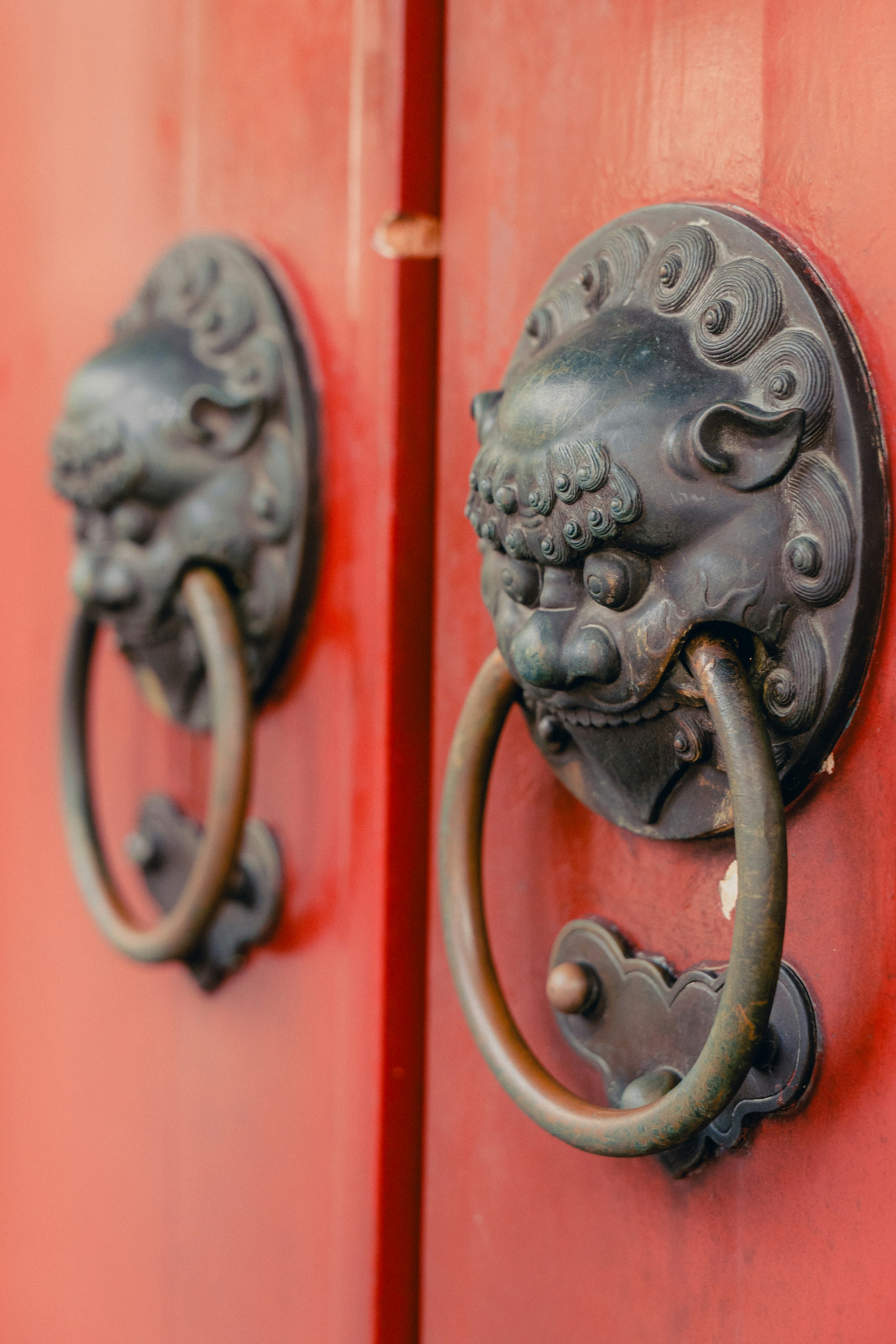 Photo by jaydraws2019