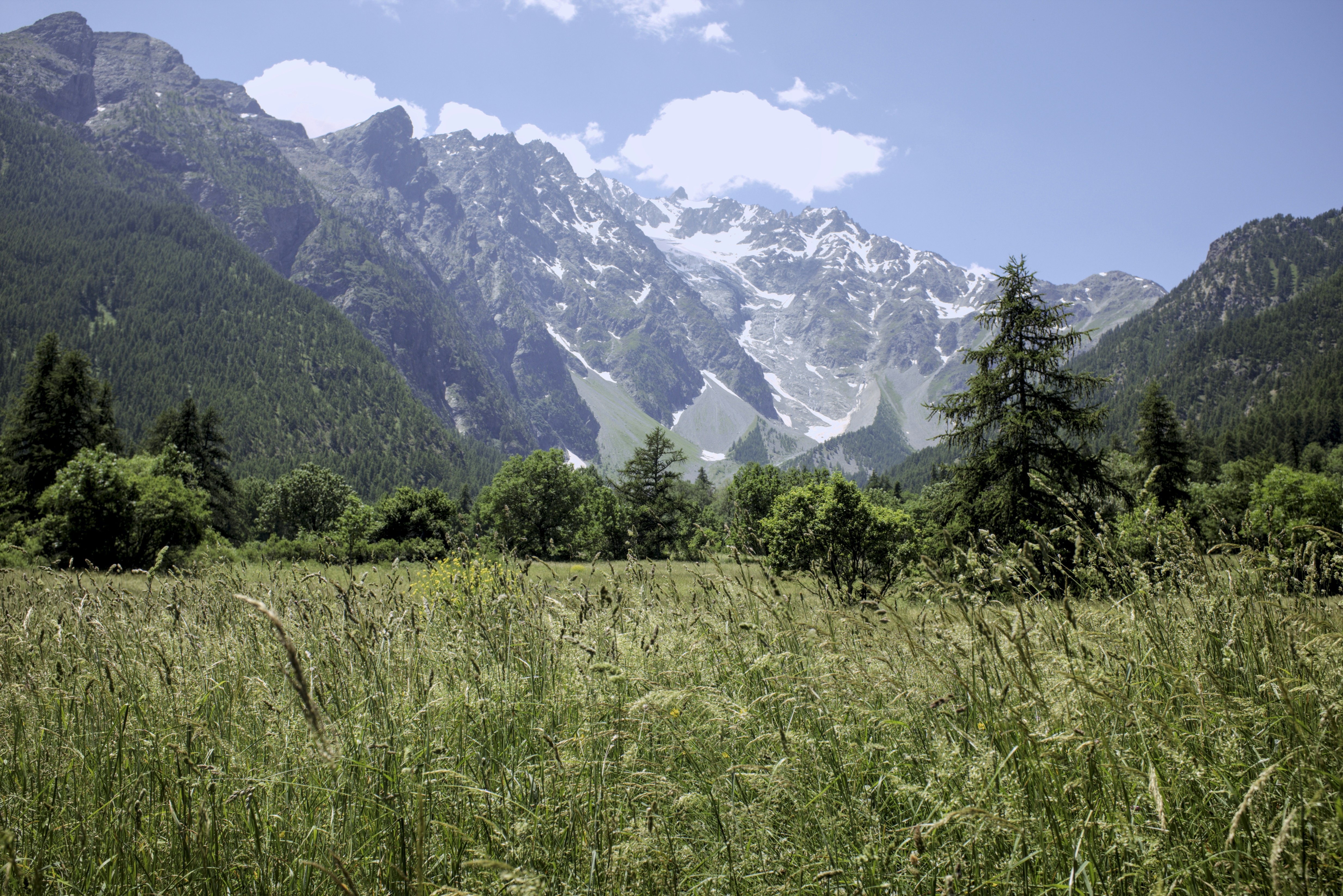 Photo by thomastygreat