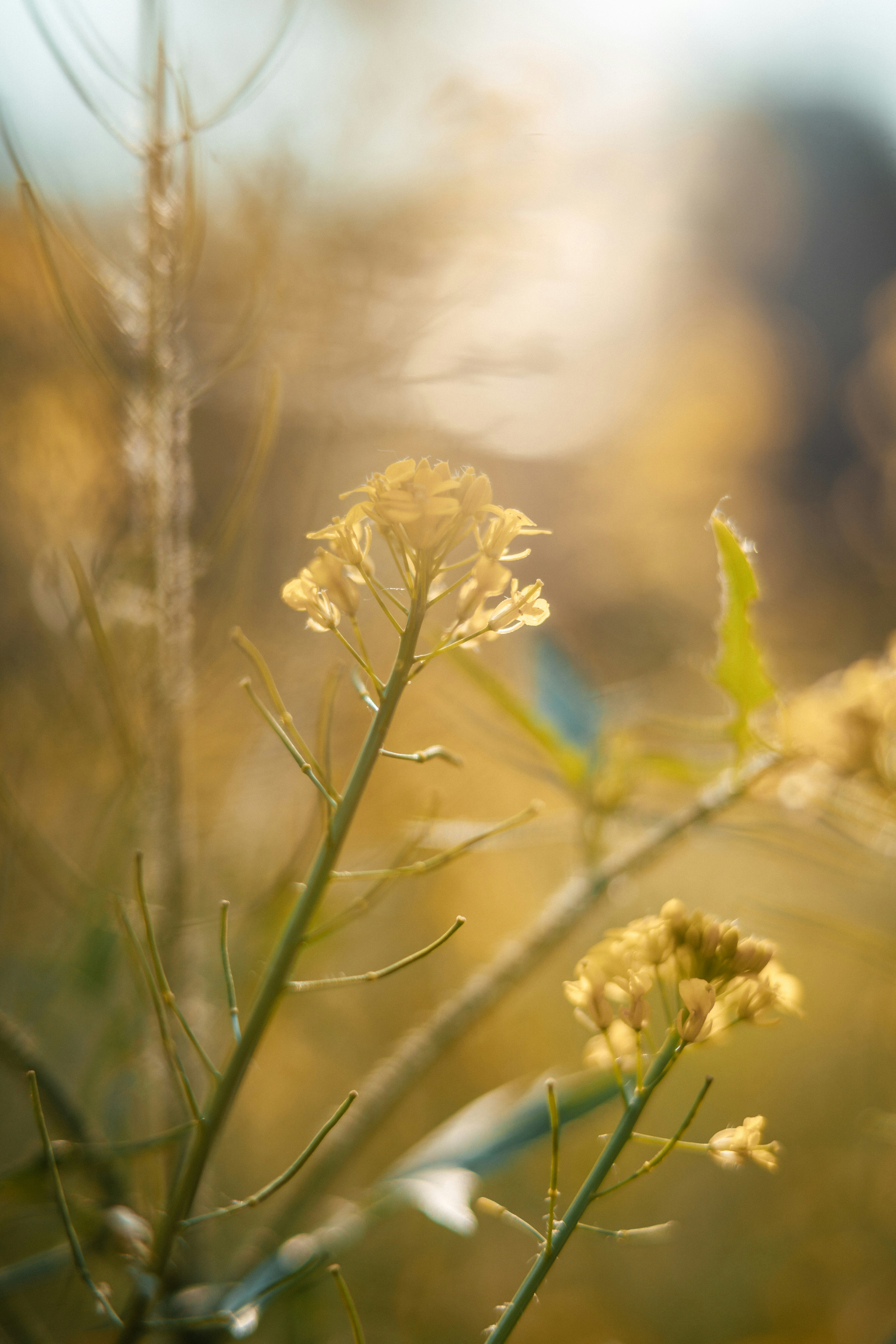 Photo by anamnesis33