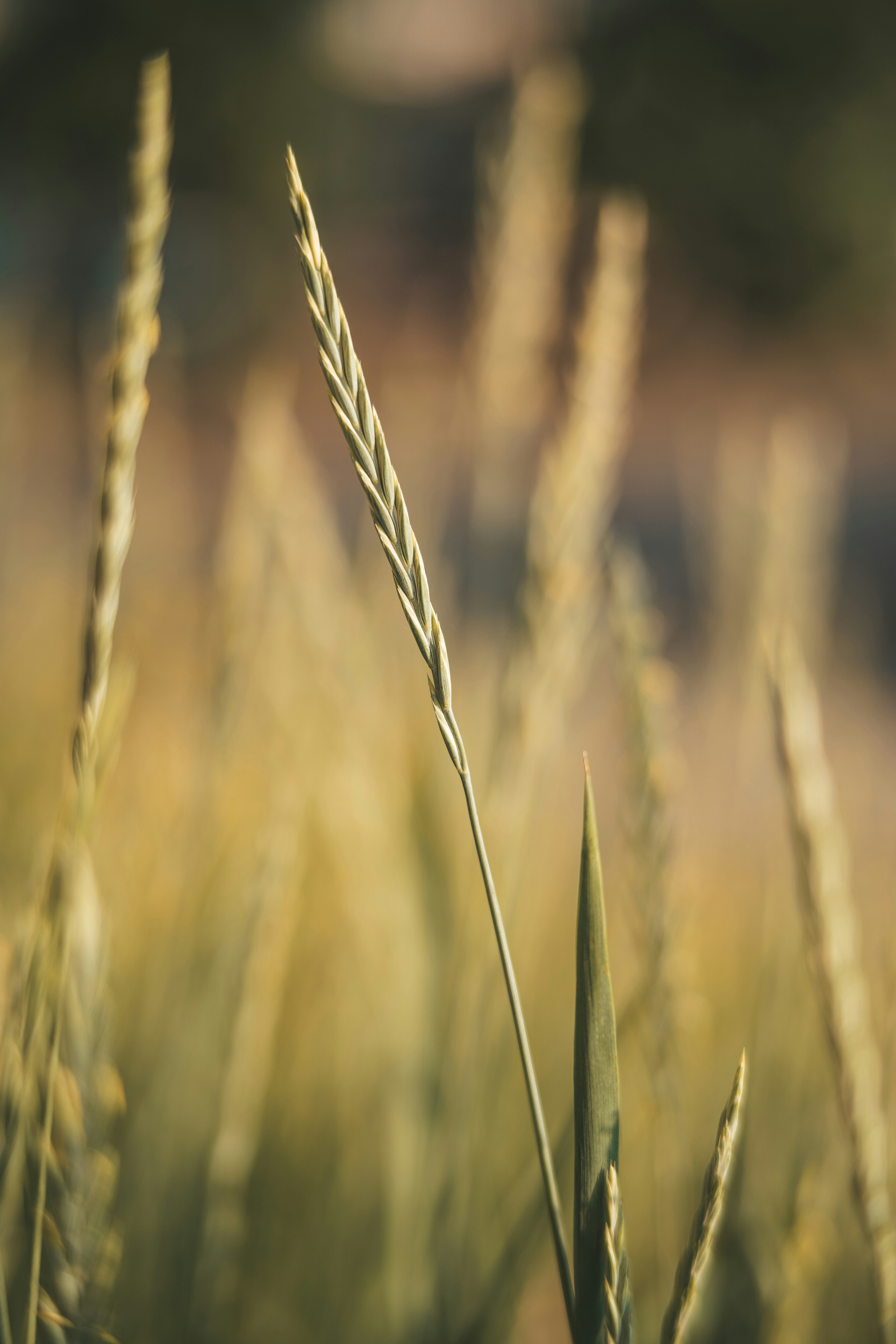 Photo by anamnesis33