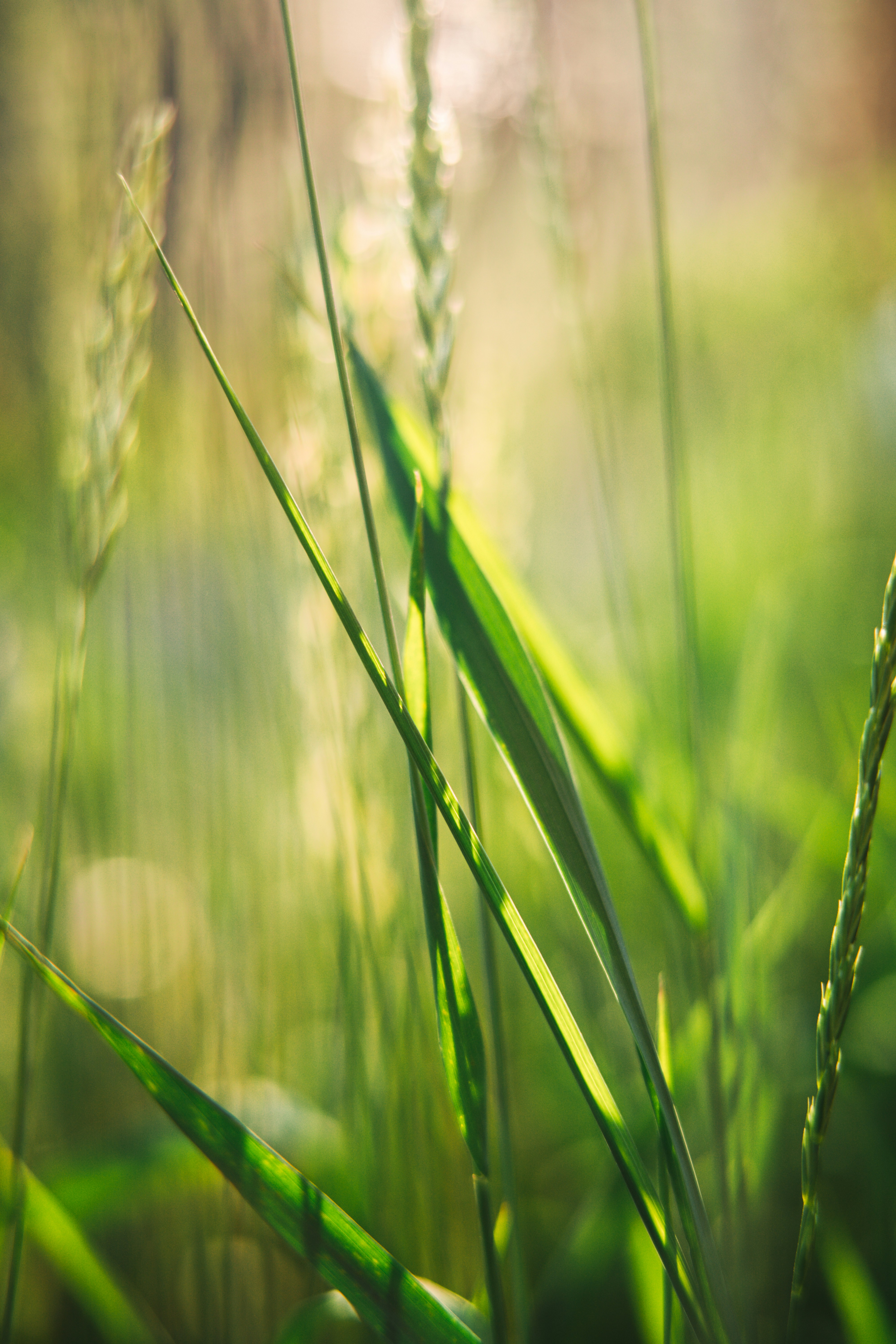 Photo by anamnesis33