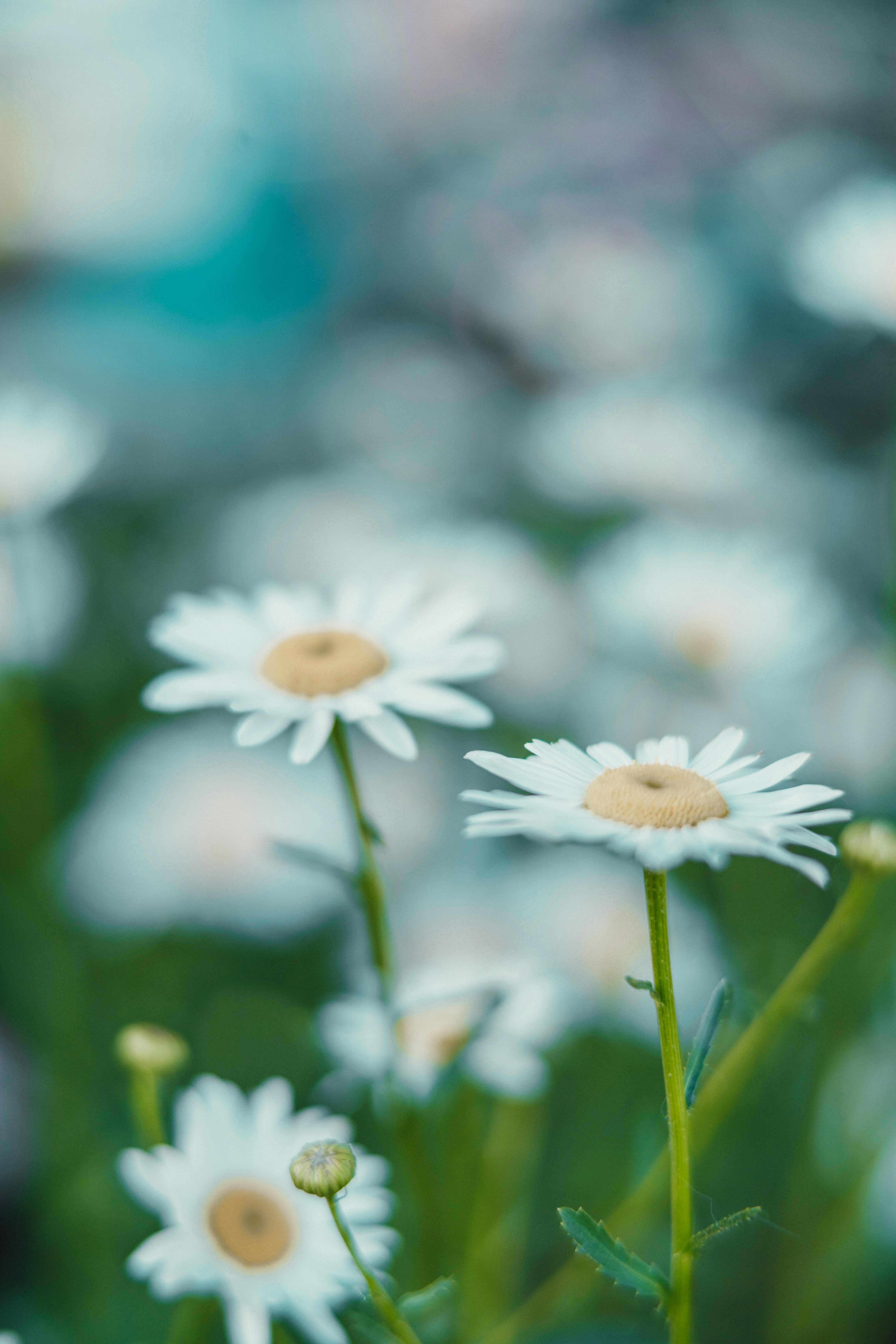 Photo by anamnesis33