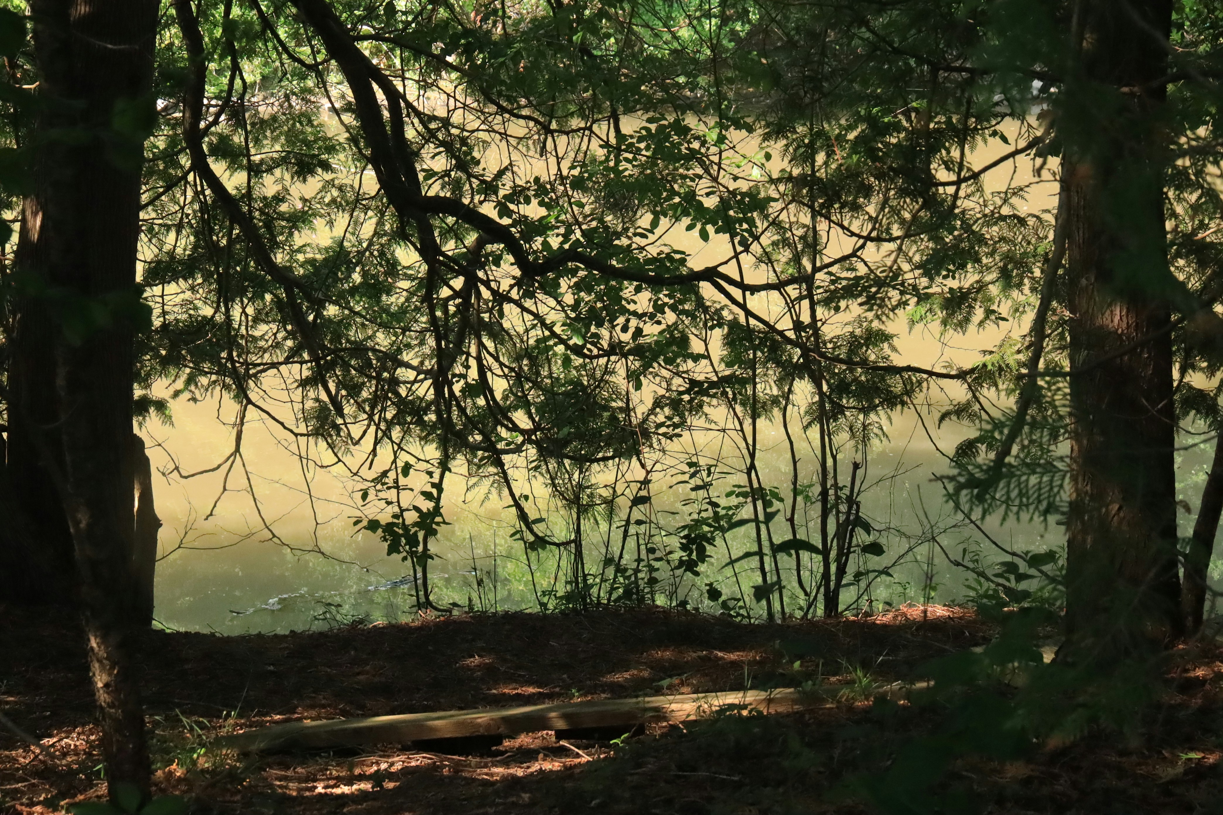 Photo by richardworks