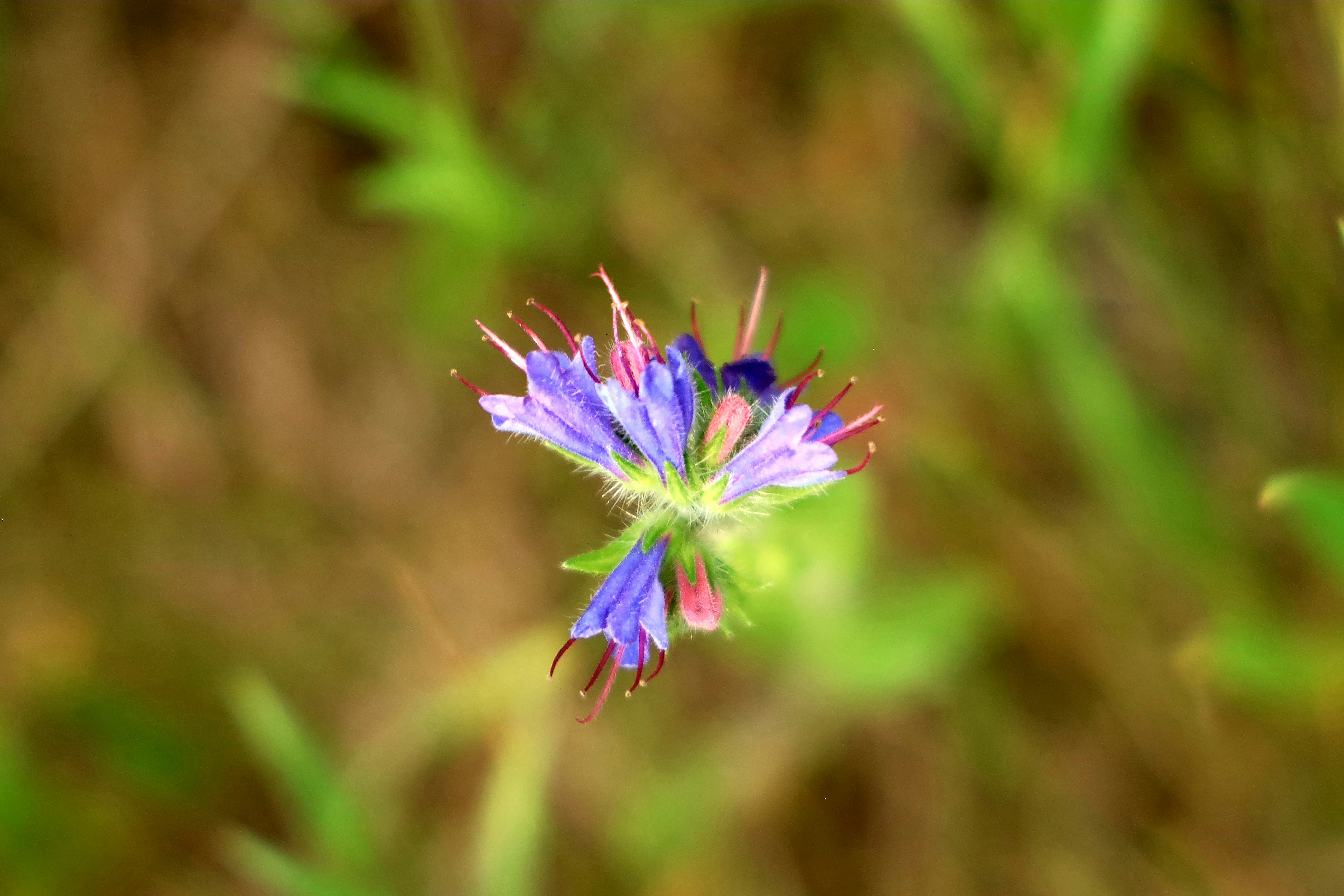 Photo by richardworks