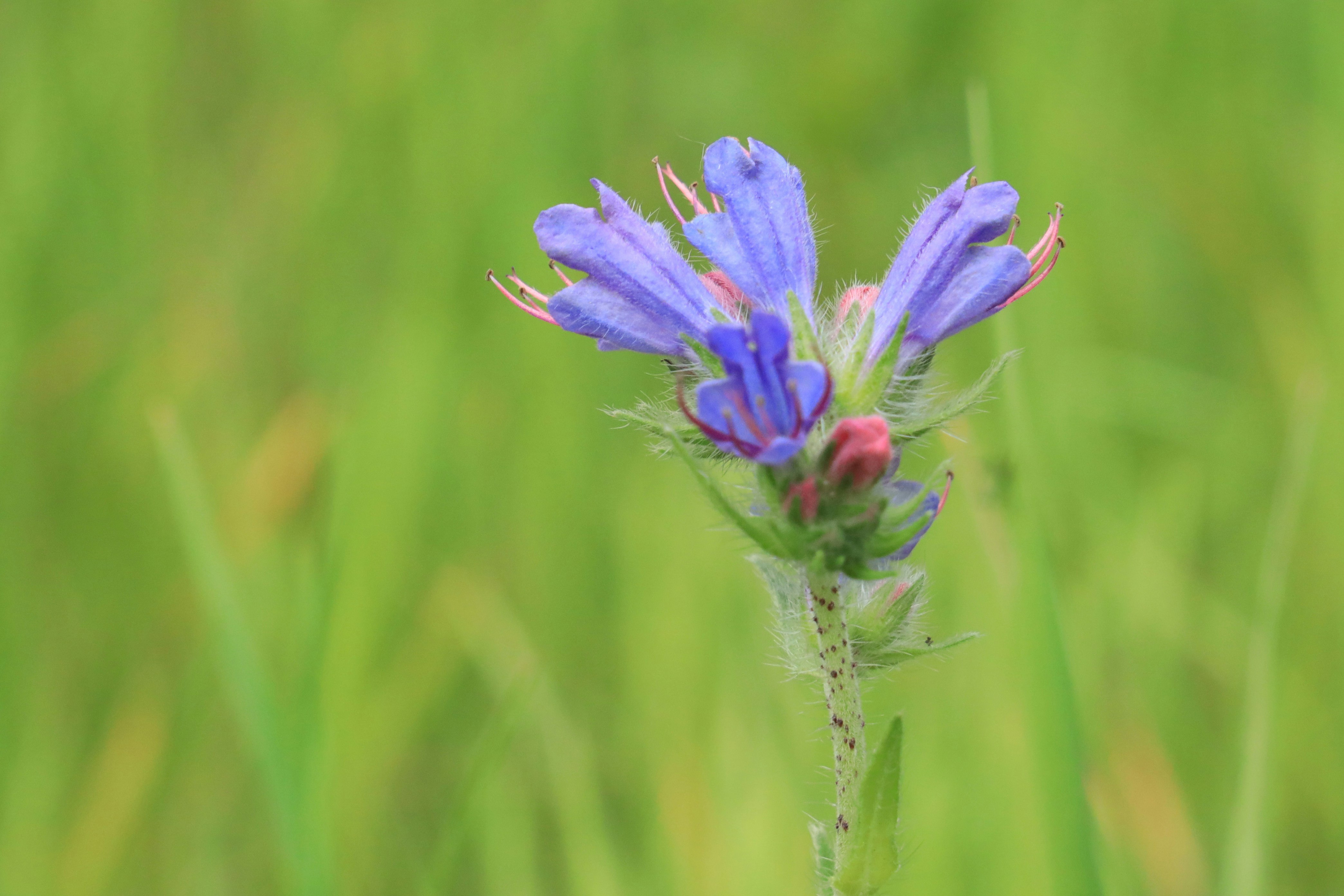 Photo by richardworks