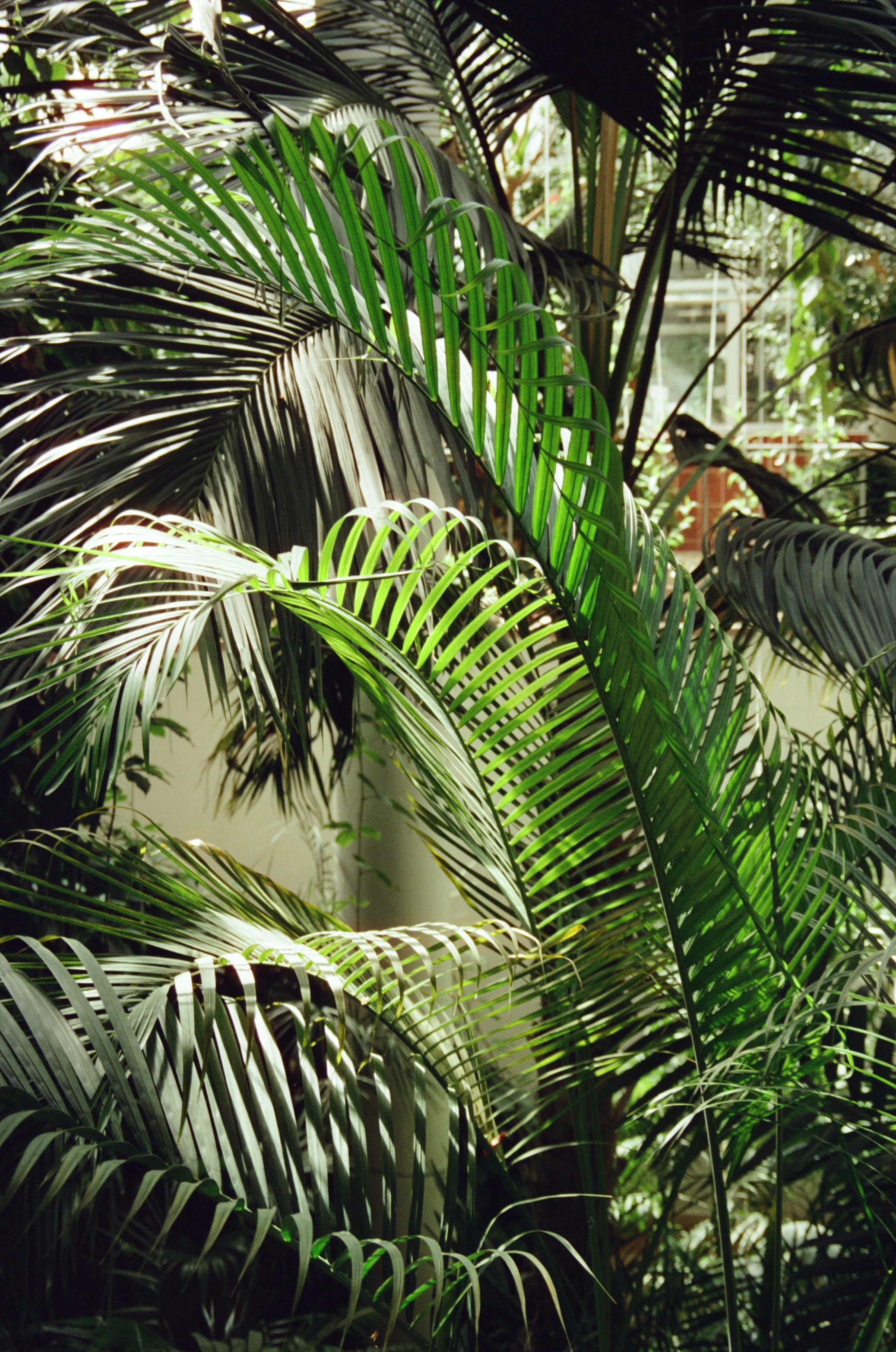 Photo by valeria_klys