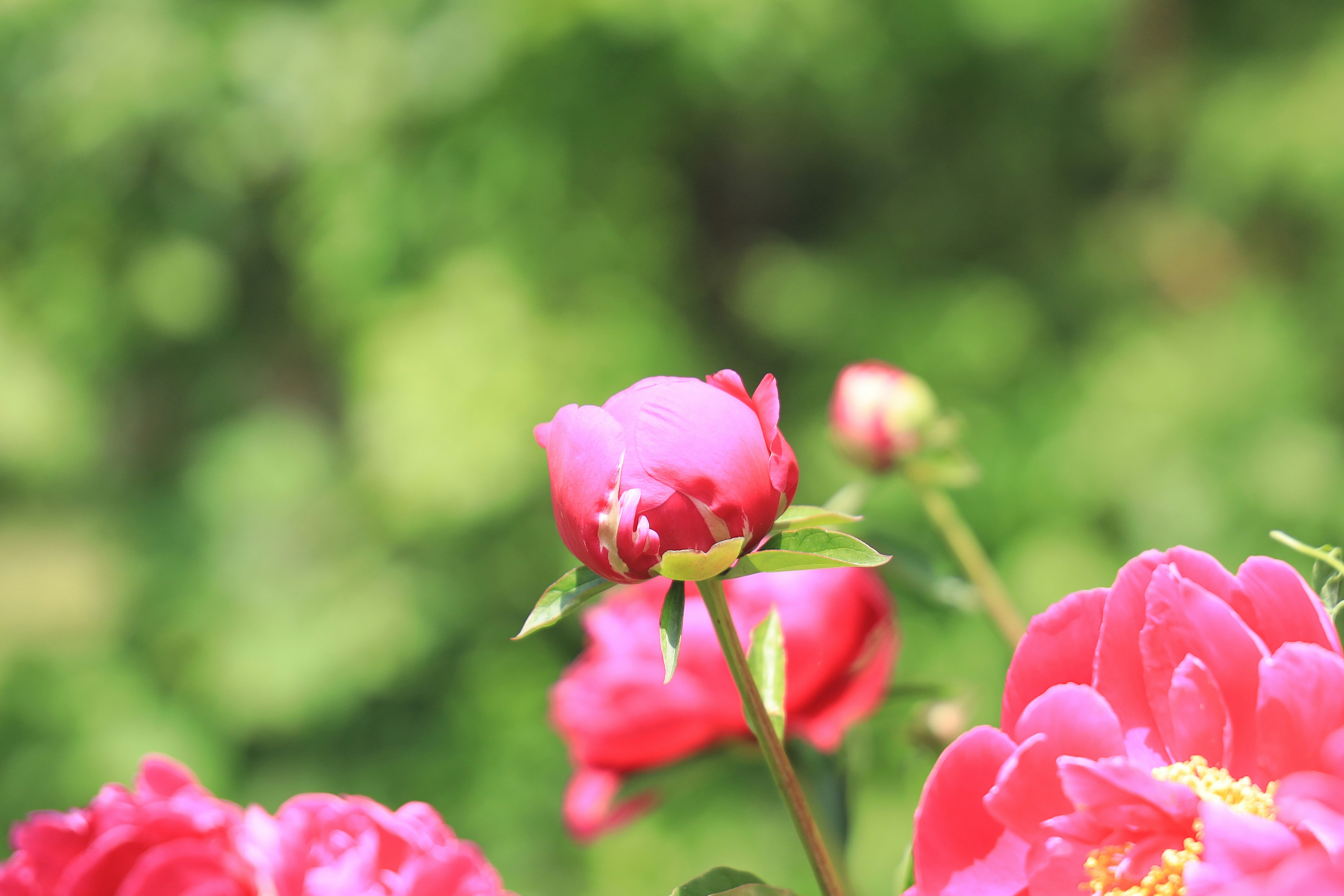 Photo by richardworks