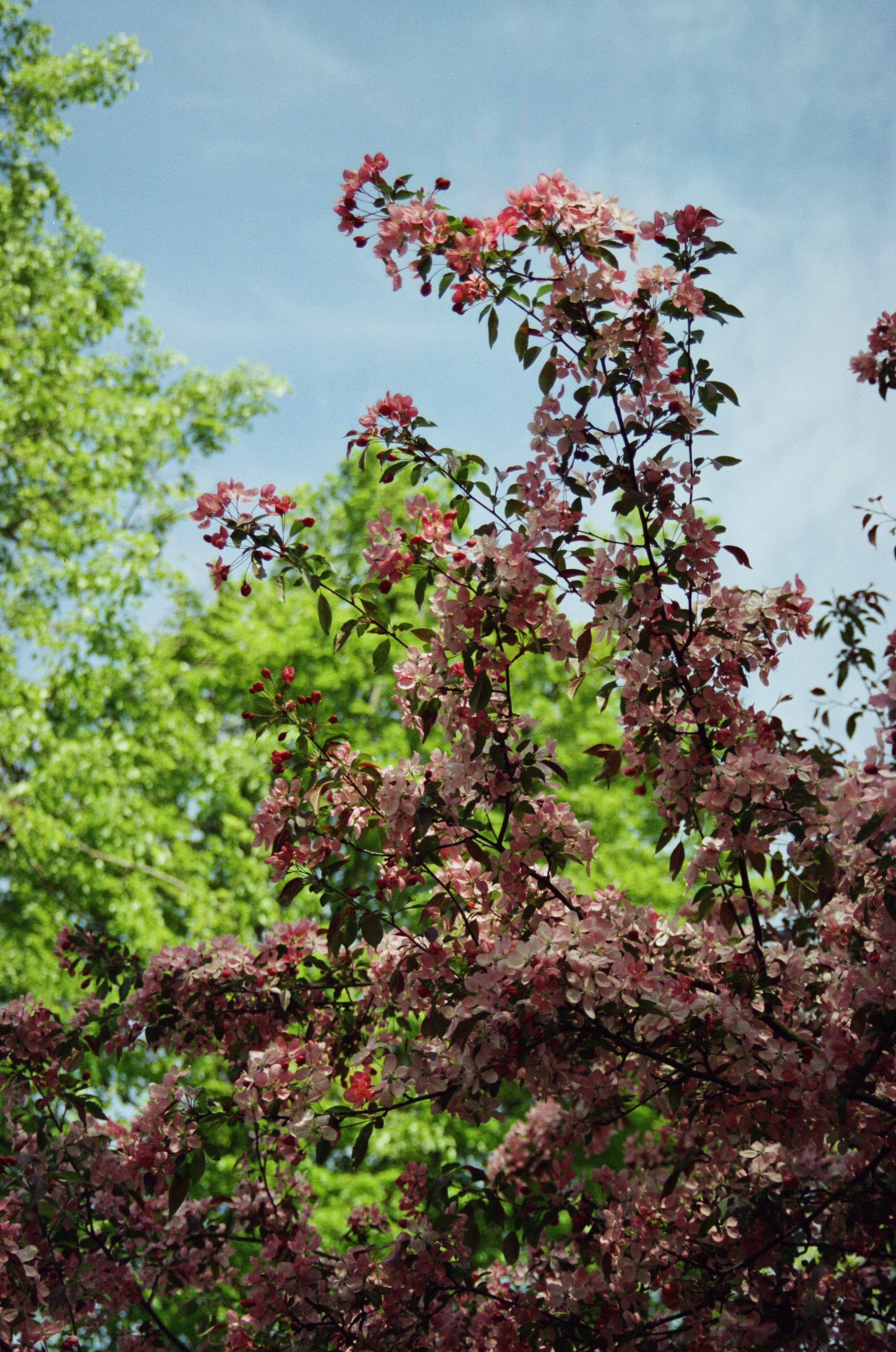 Photo by valeria_klys