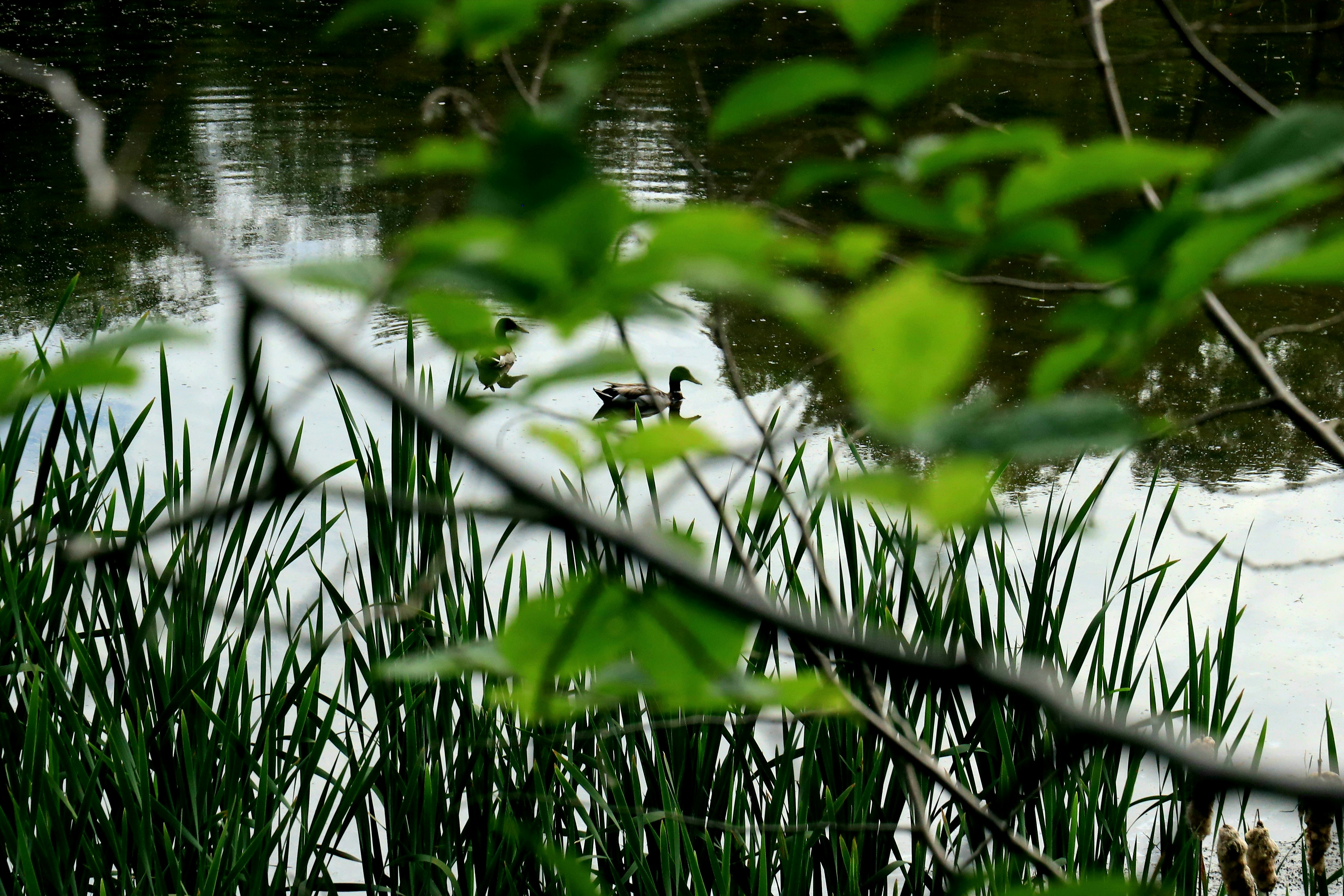 Photo by richardworks