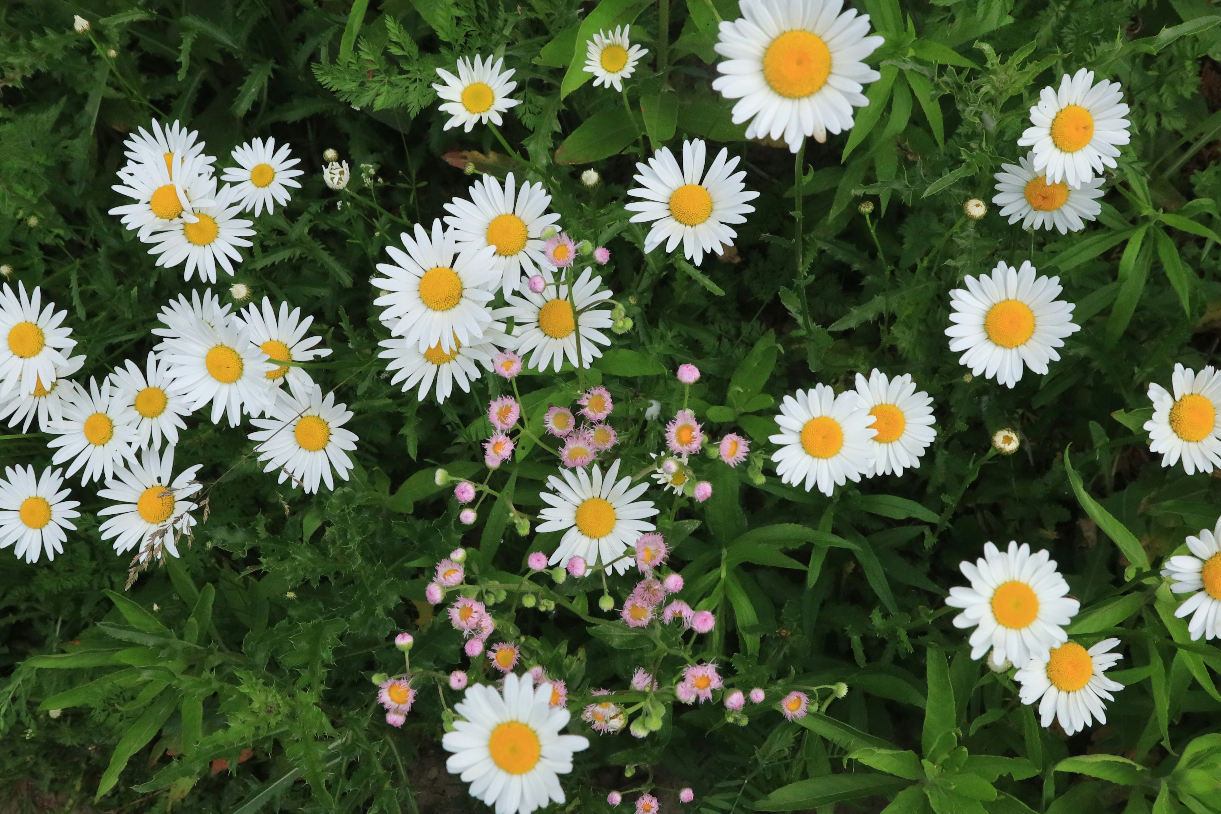 Photo by richardworks