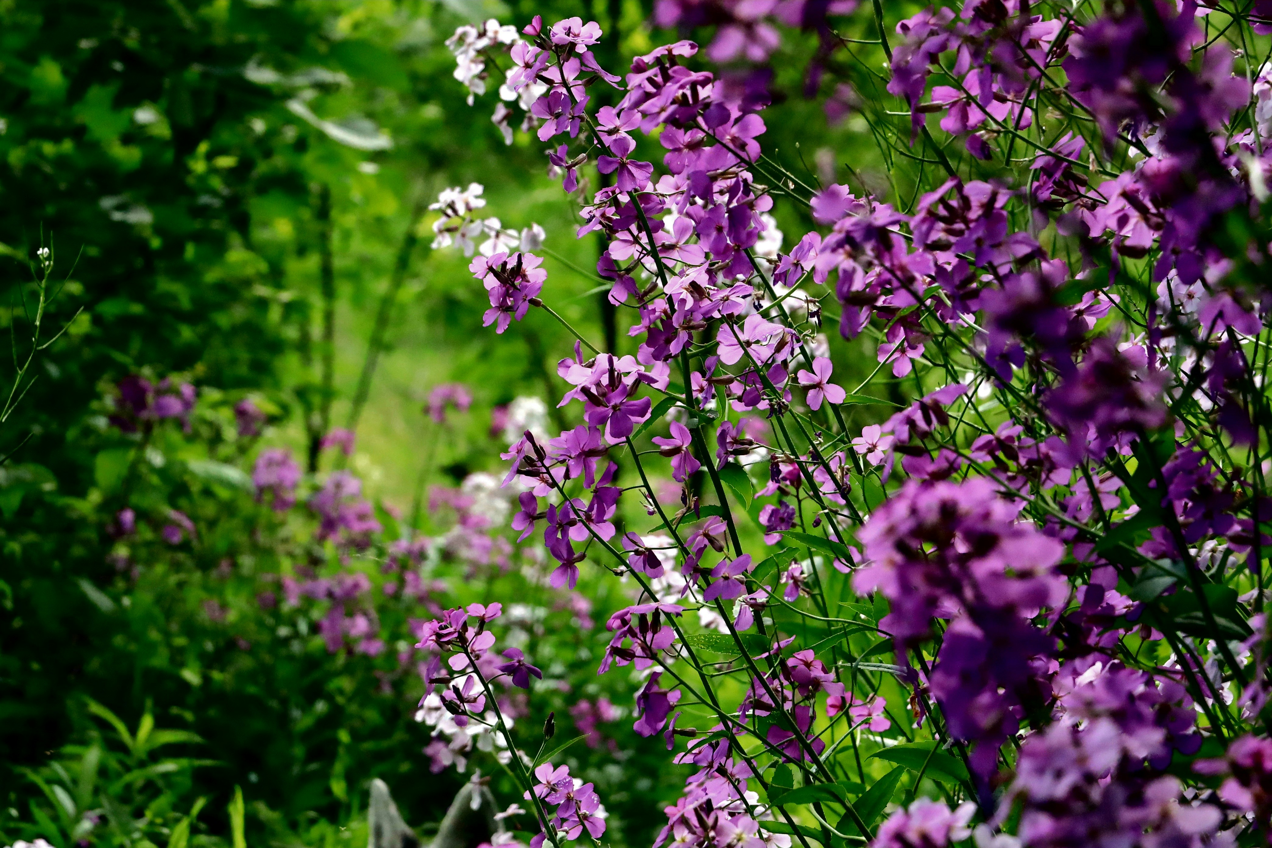 Photo by richardworks