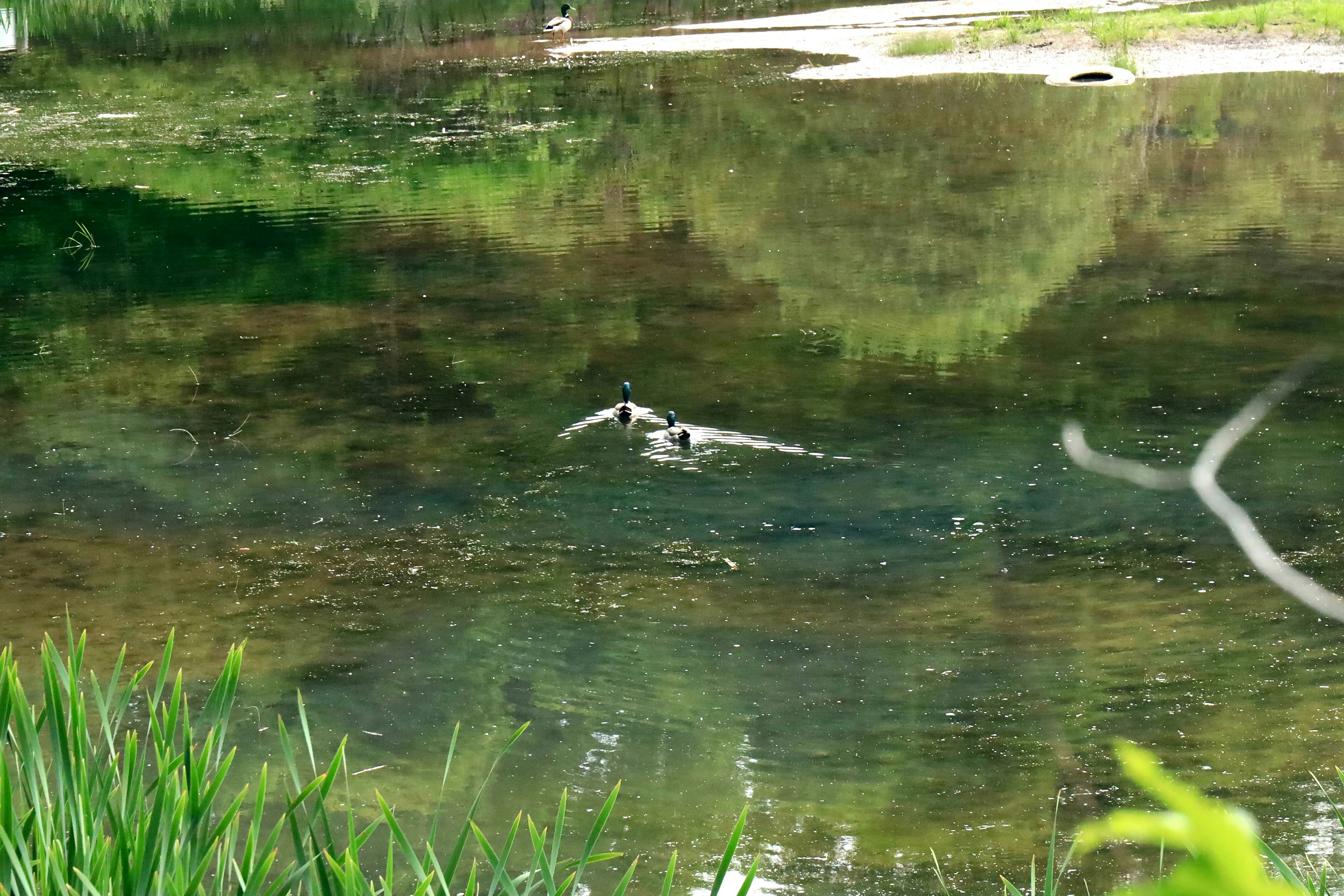 Photo by richardworks