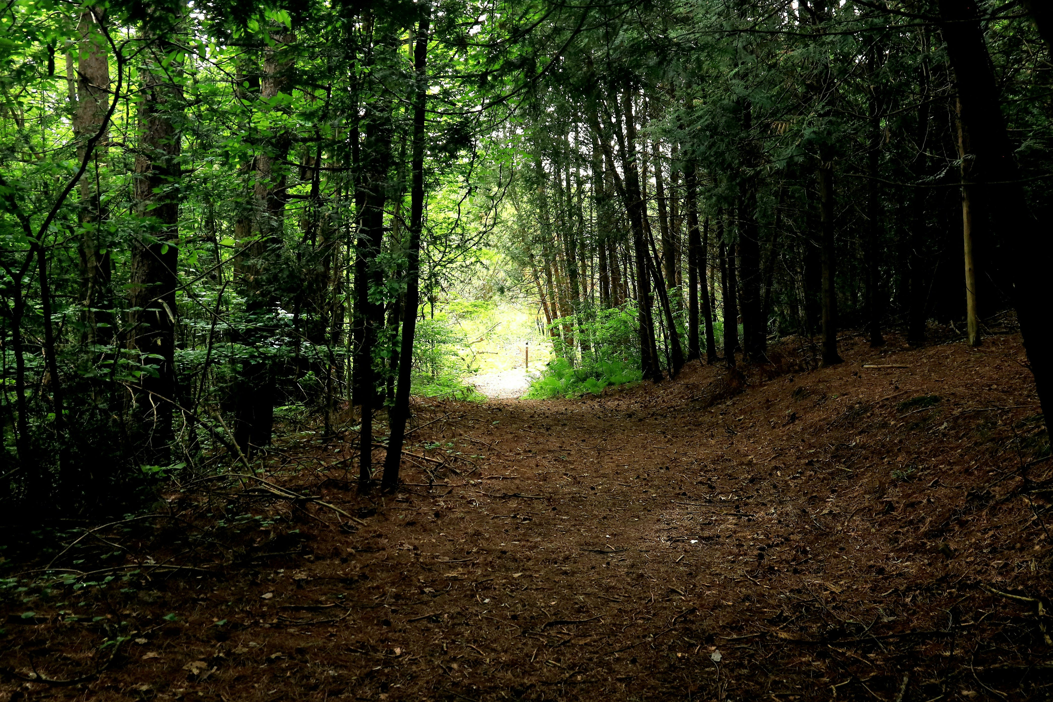 Photo by richardworks