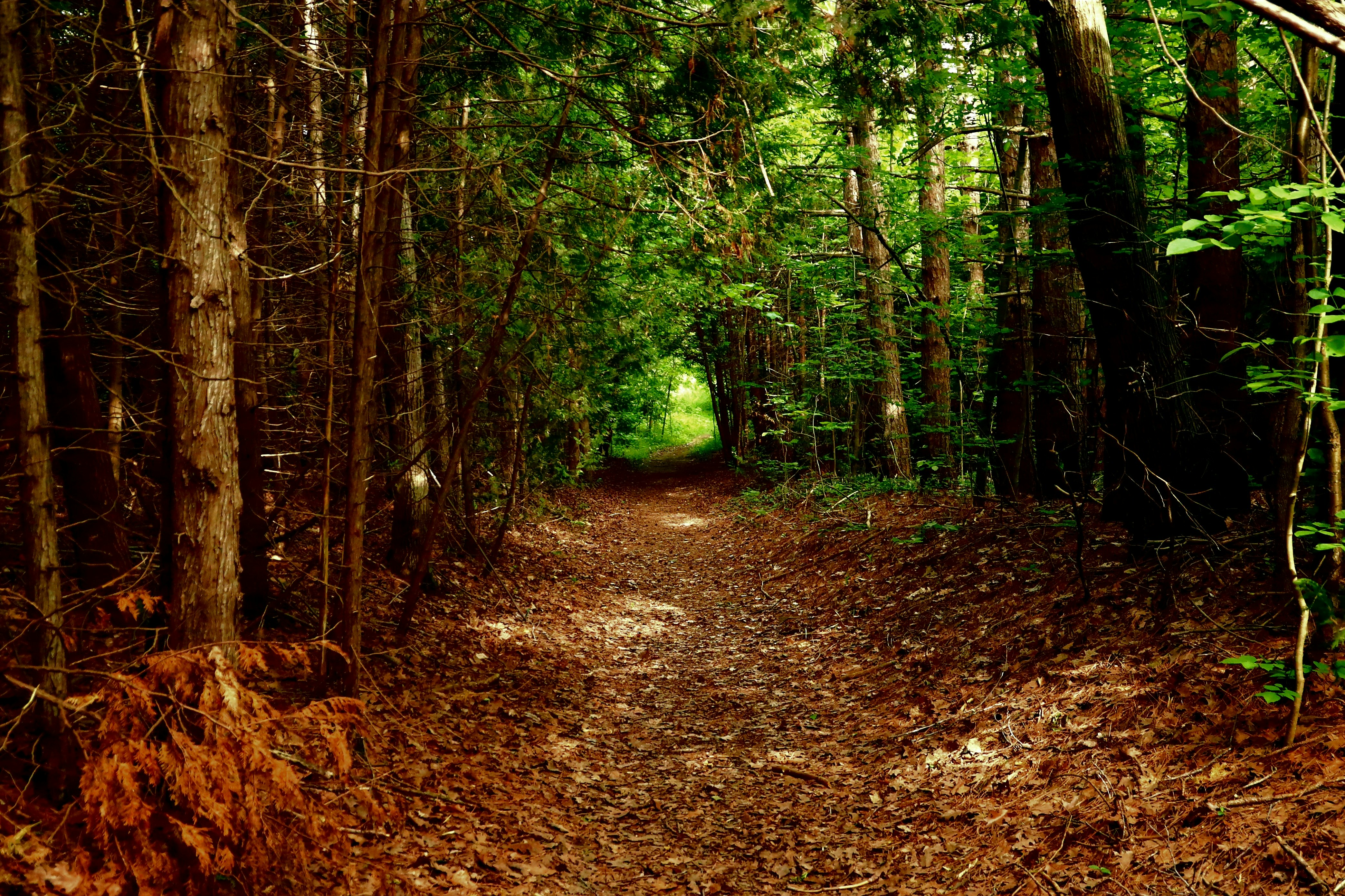 Photo by richardworks