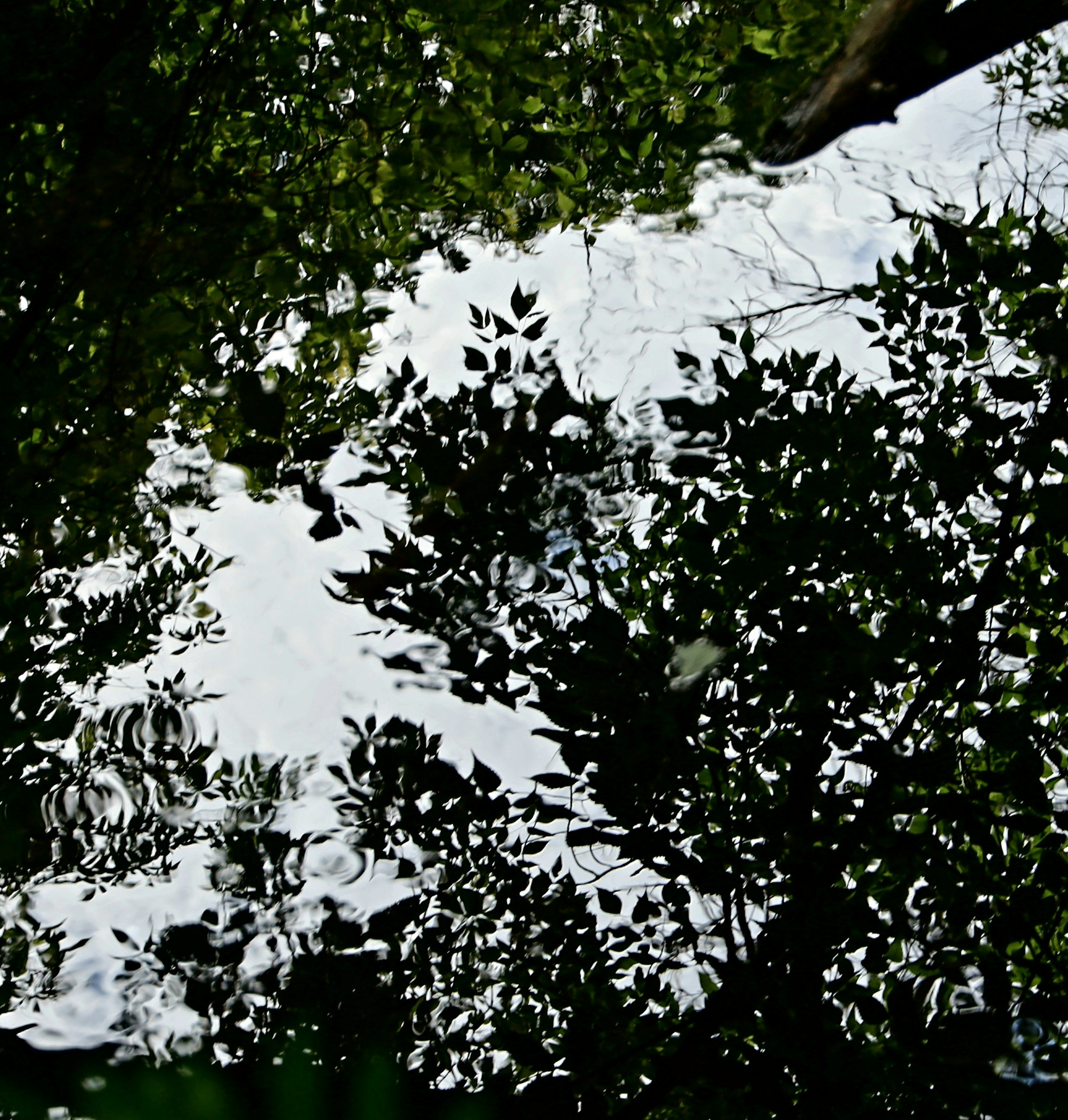 self-reflection concept illustration