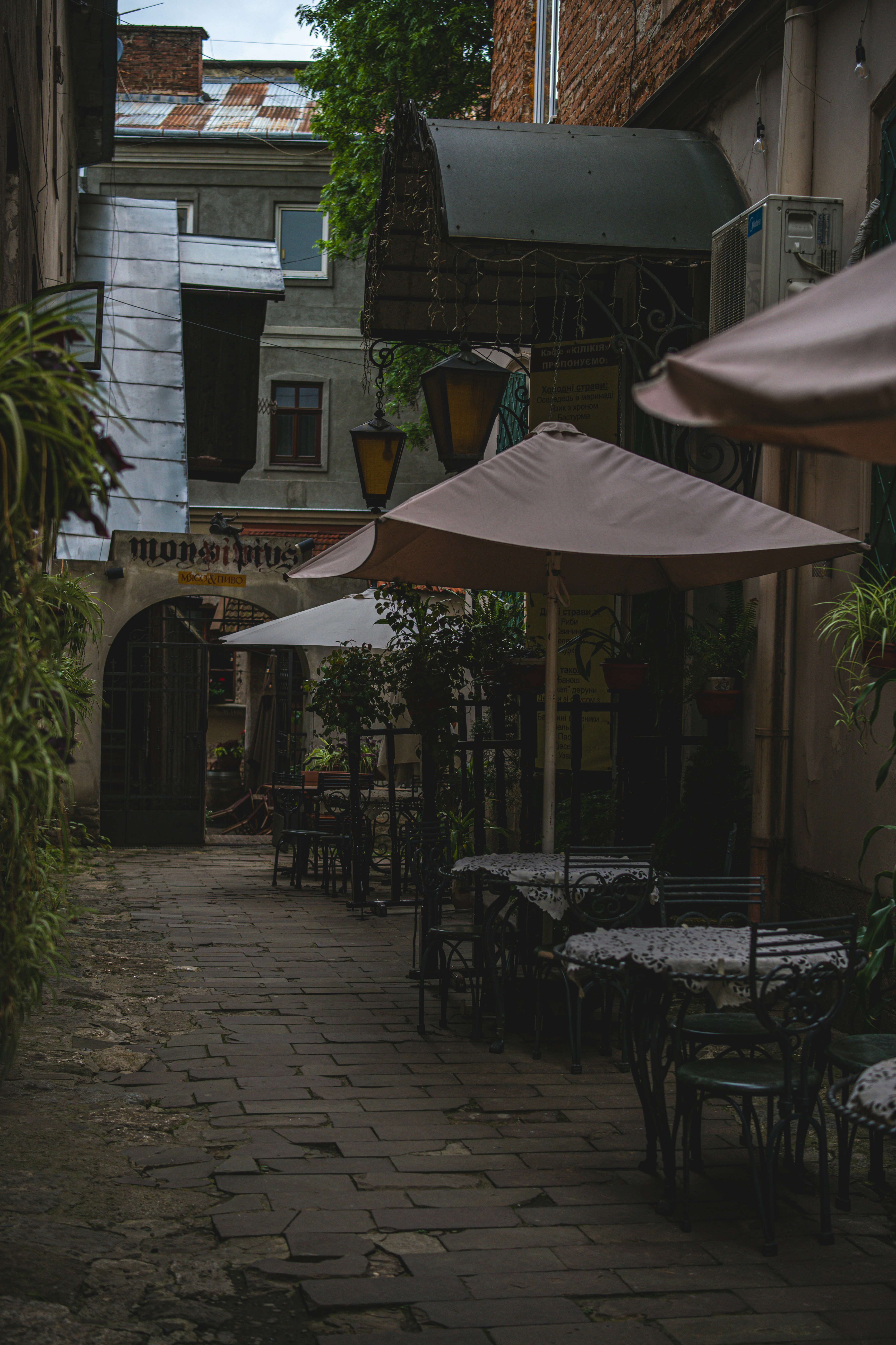 Photo by nazarii_kovalov