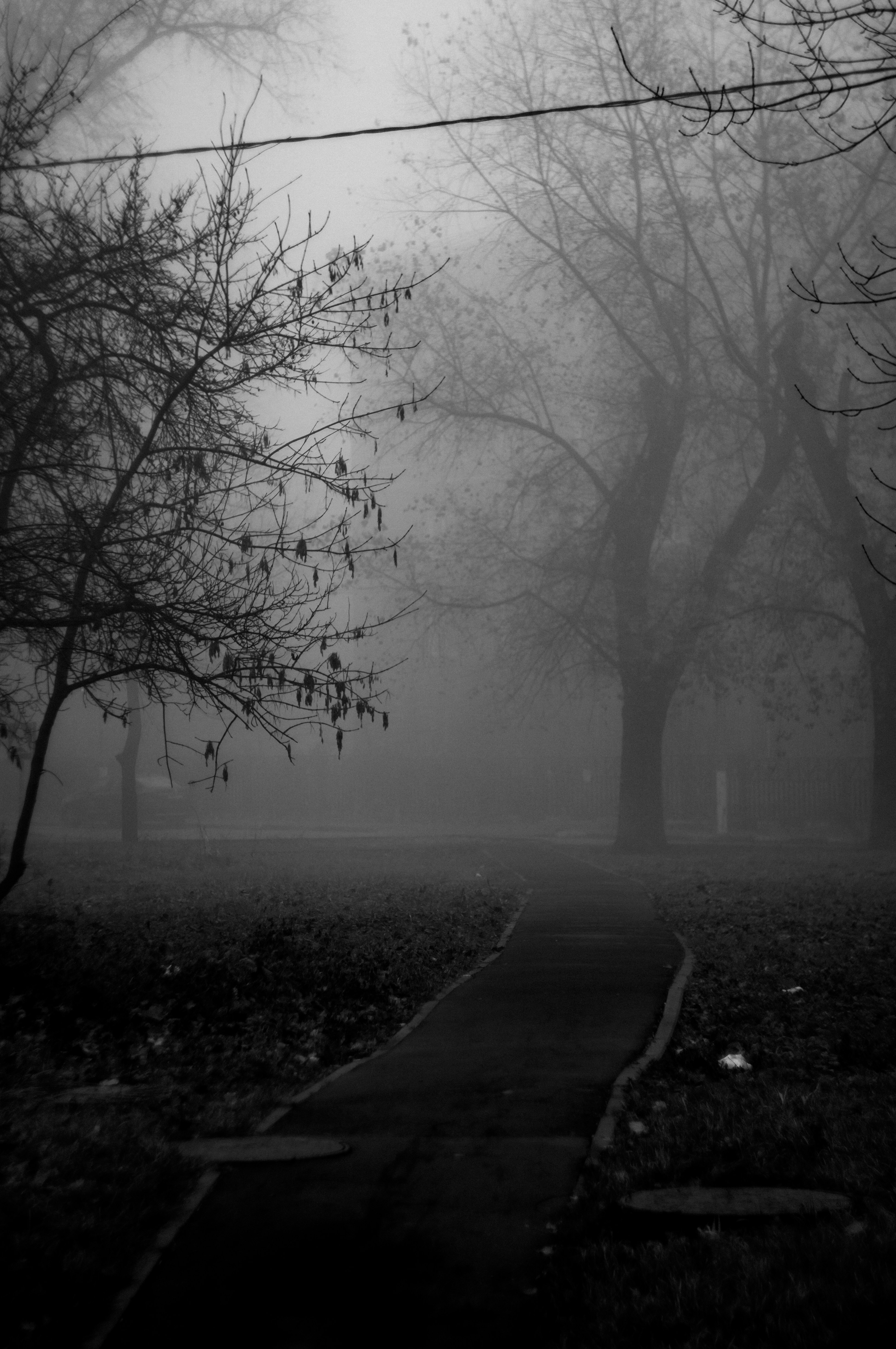 Photo by leksyandrow