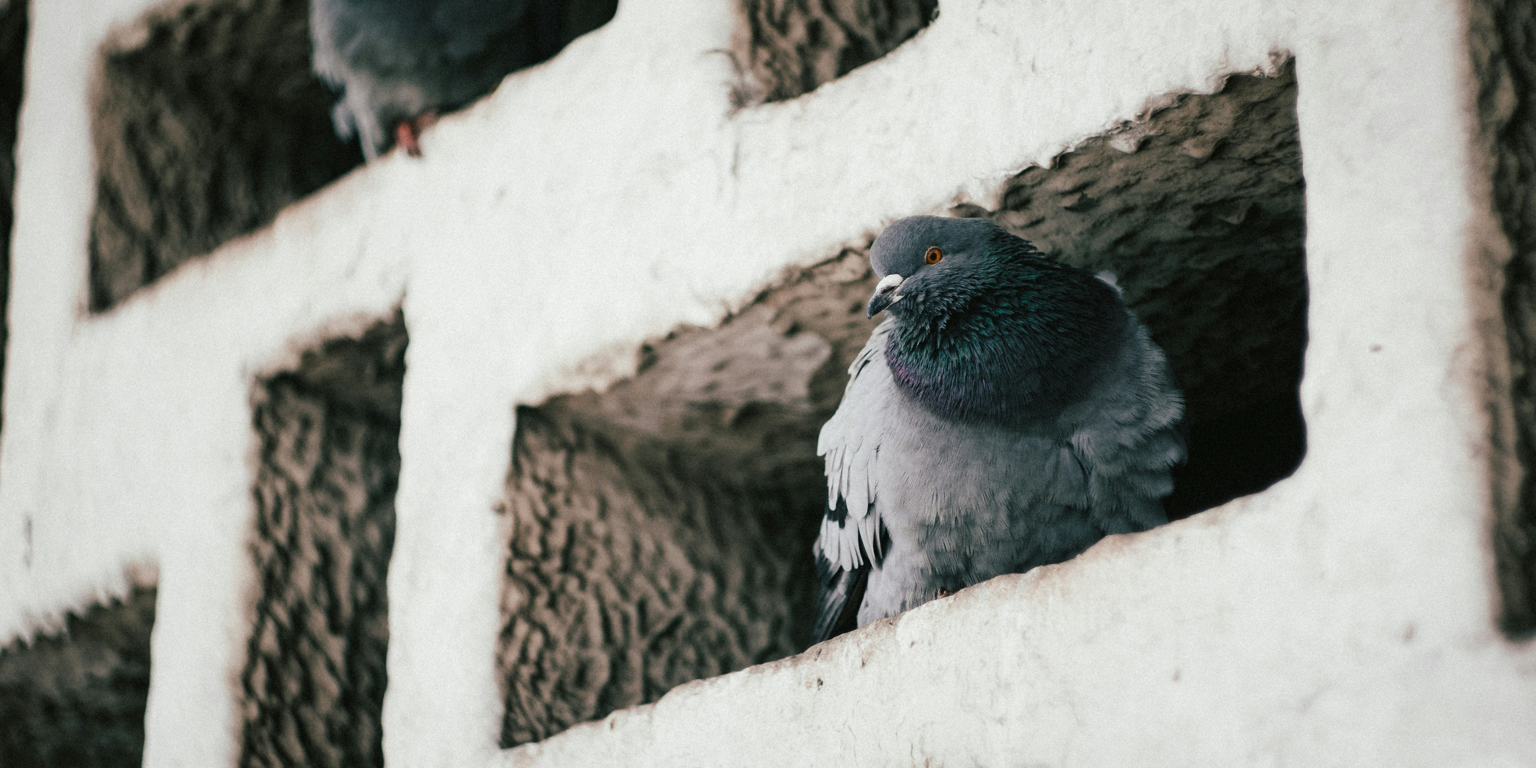 冬キャンプで暖房器具は必須？寒冷地アウトドアの防寒対策関連画像
