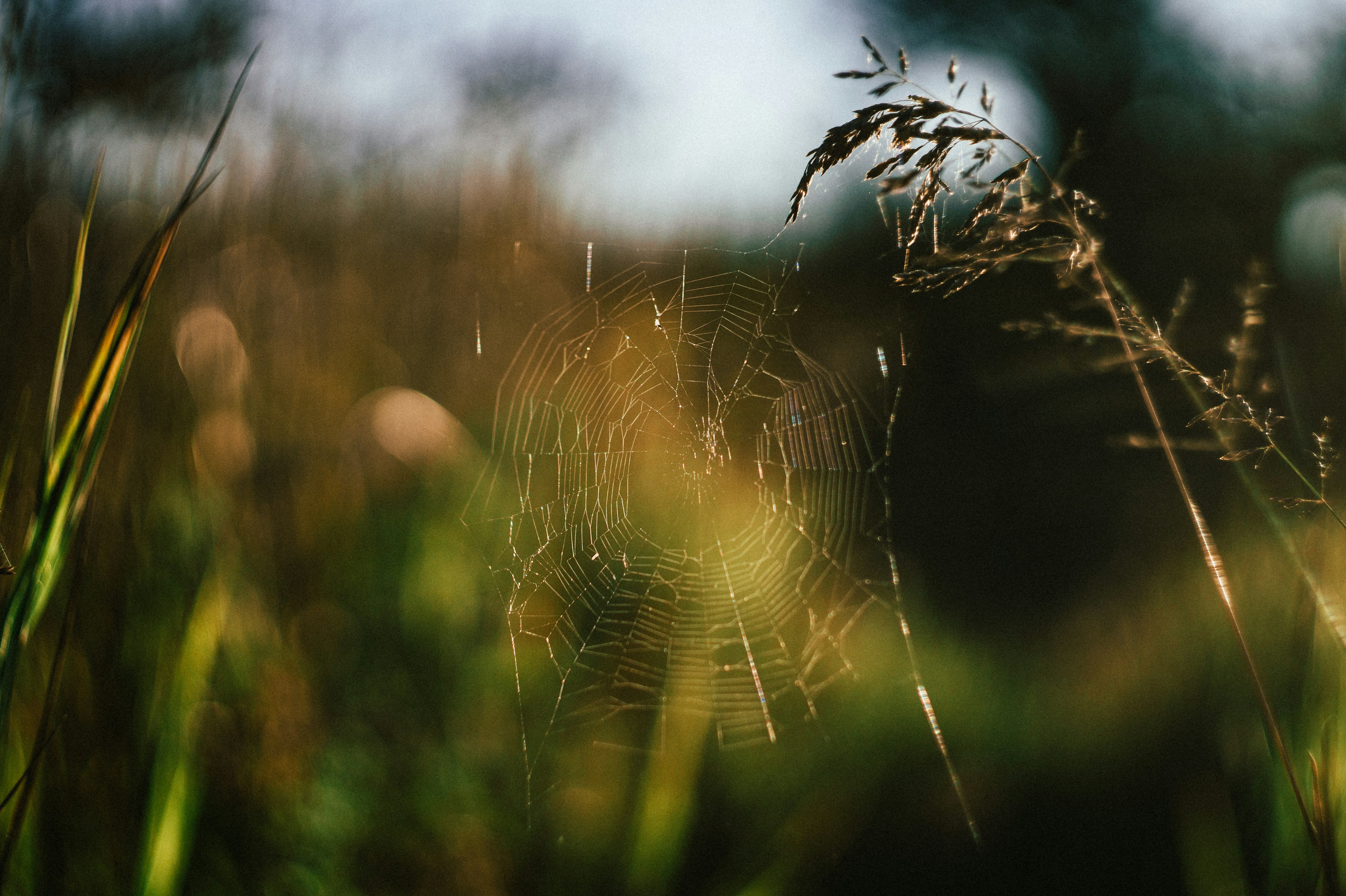 Photo by leksyandrow