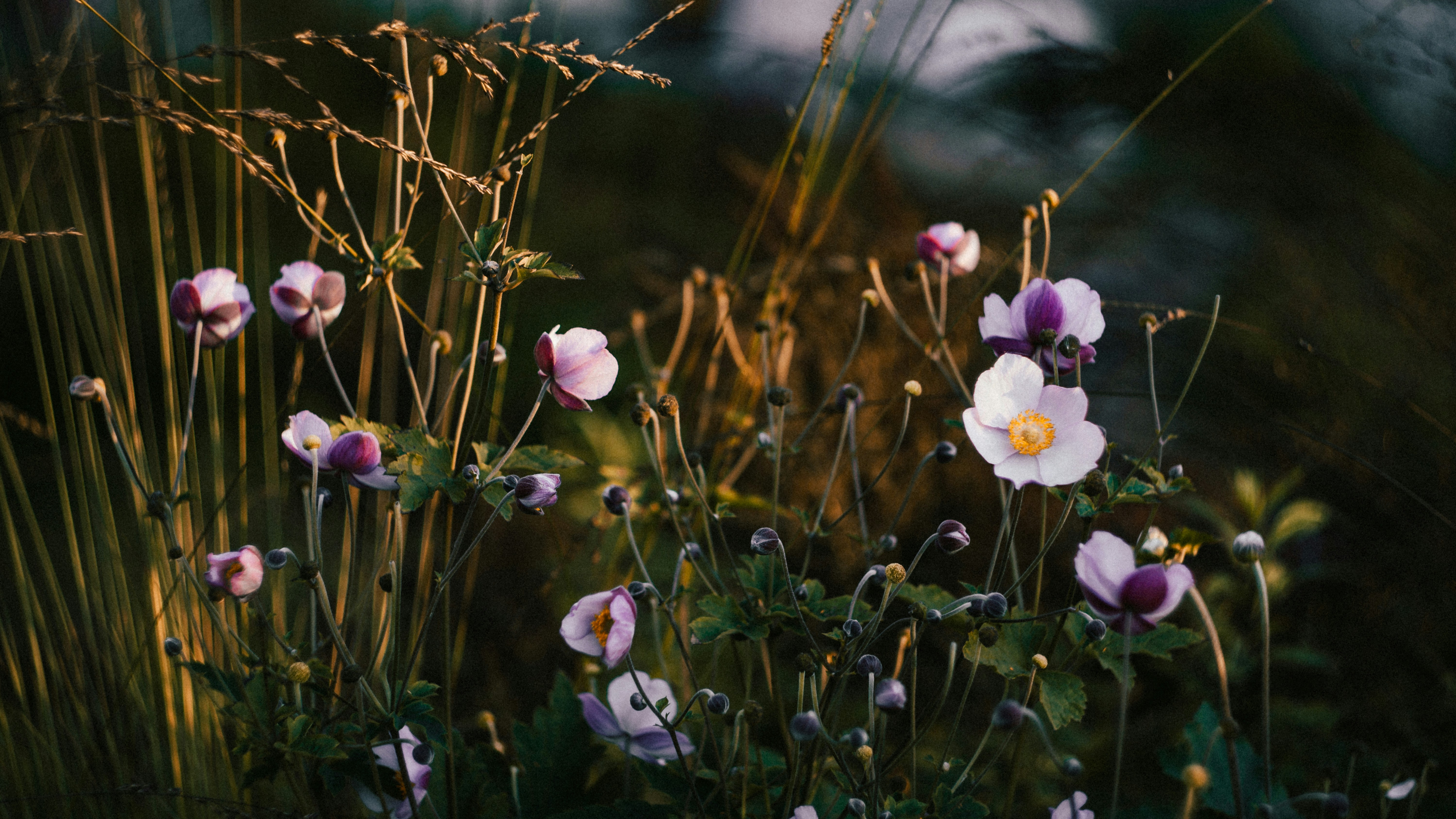 Photo by leksyandrow