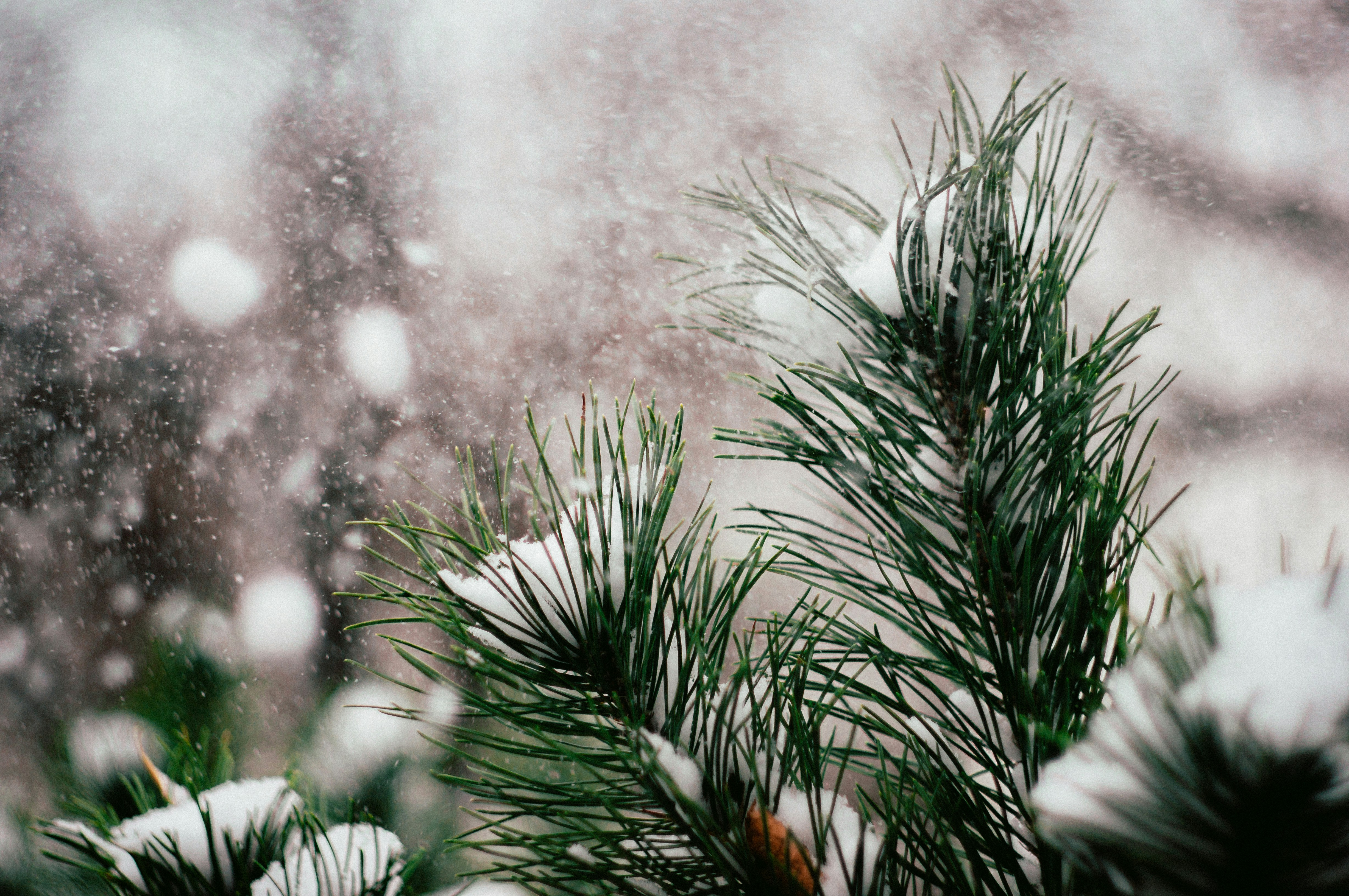 Photo by leksyandrow