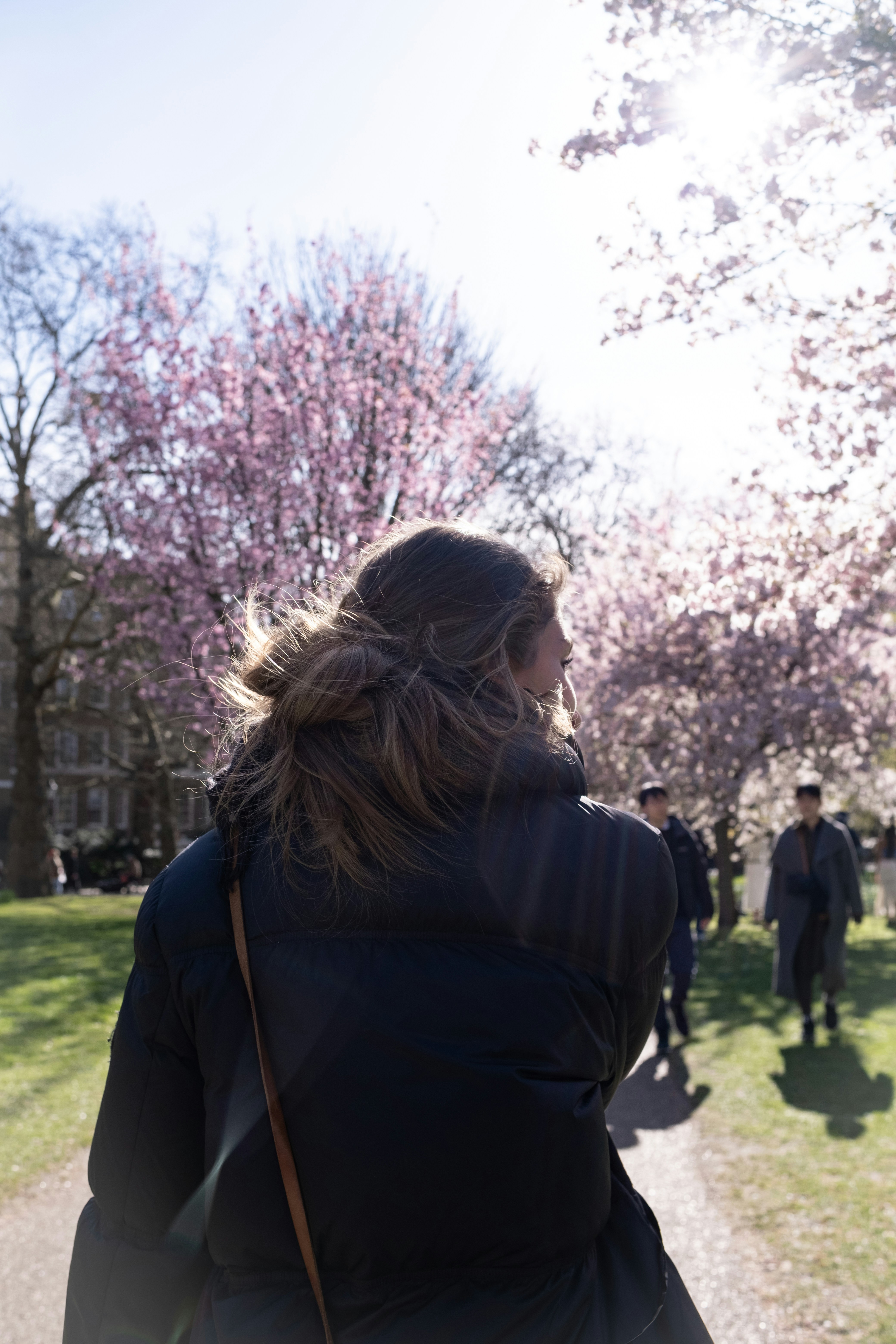 Woman looks at blooming cherry blossom trees.