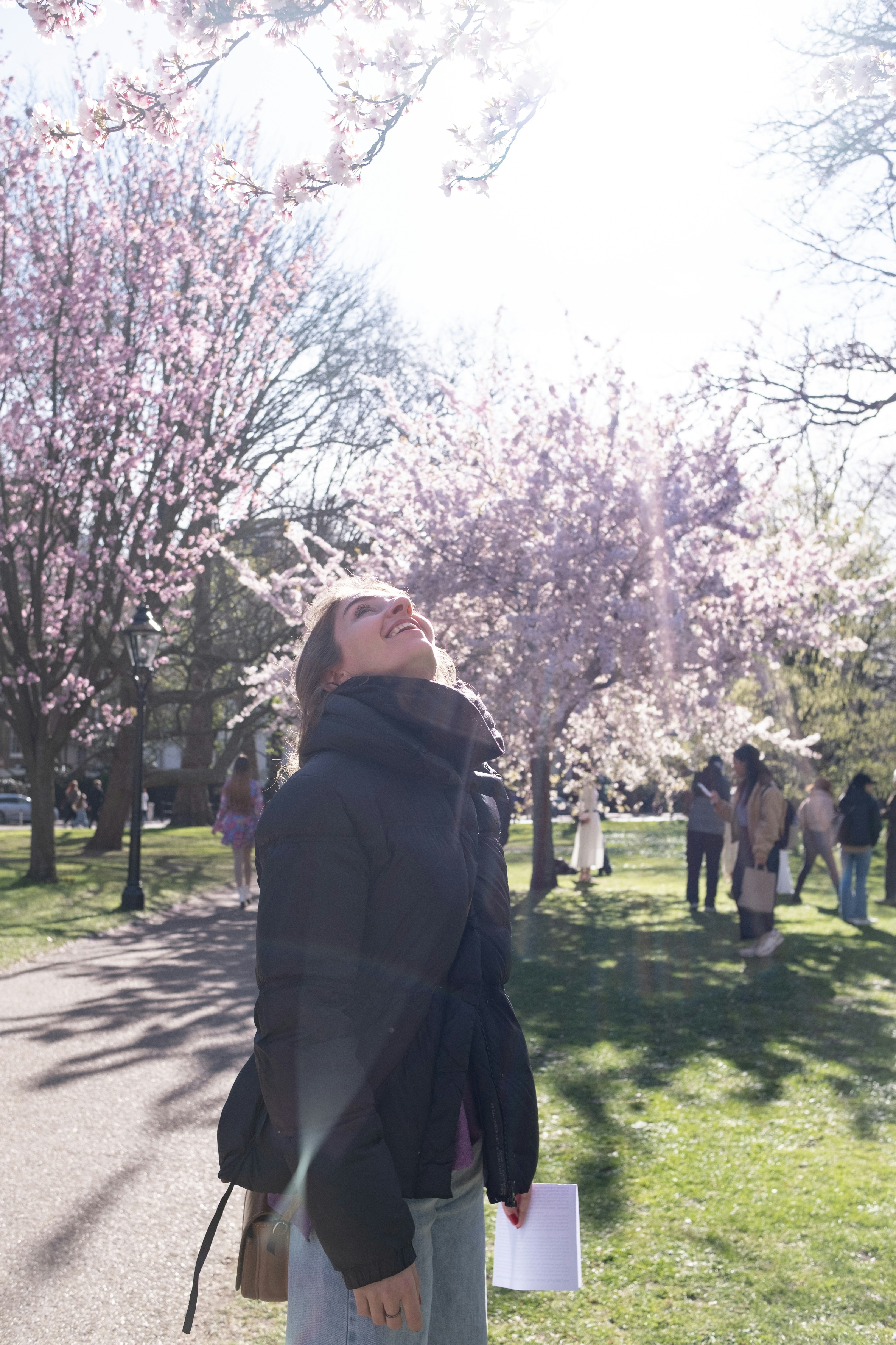 Woman gazes at blossoming cherry trees in sunlight.