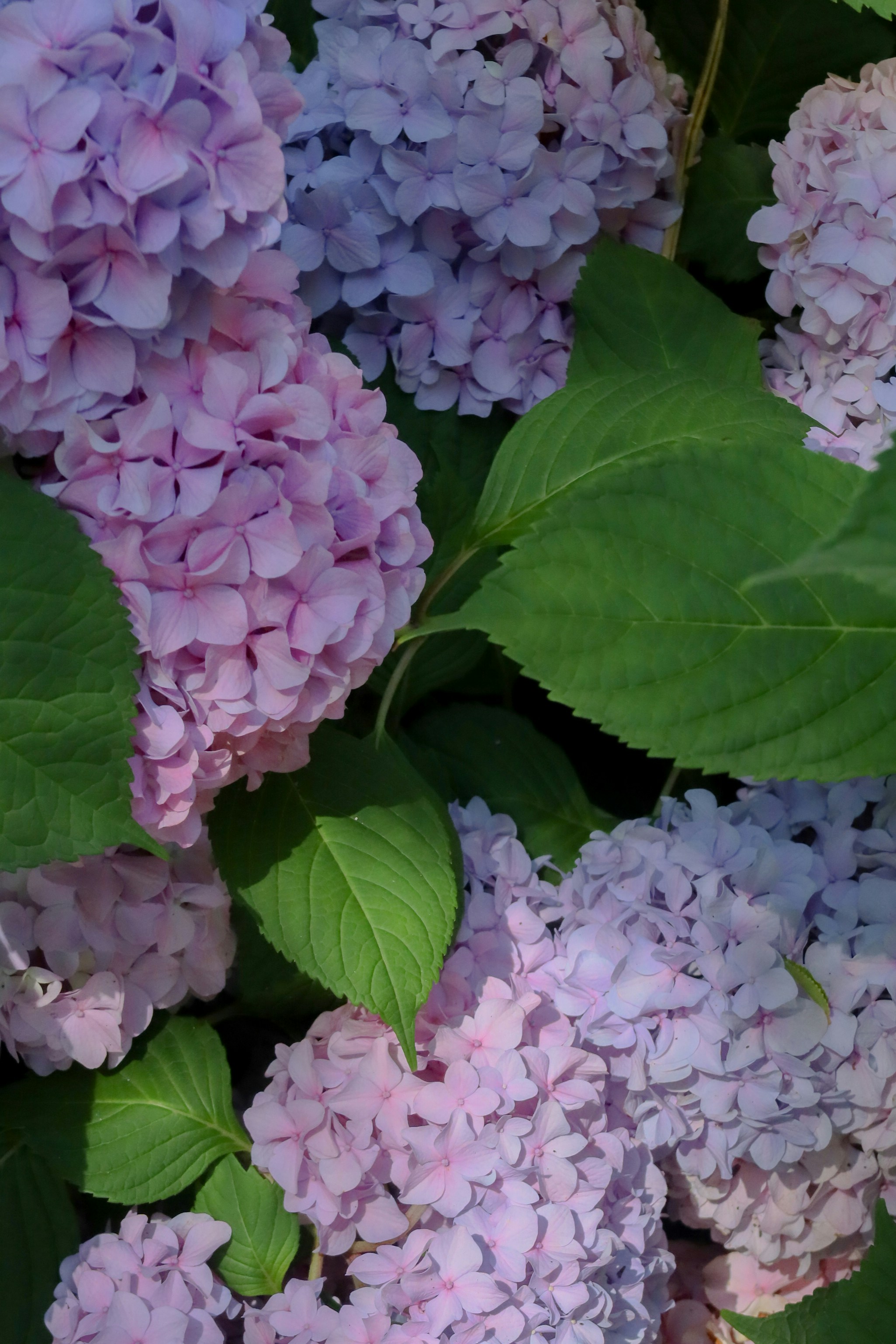 Photo by ellencreativestudio