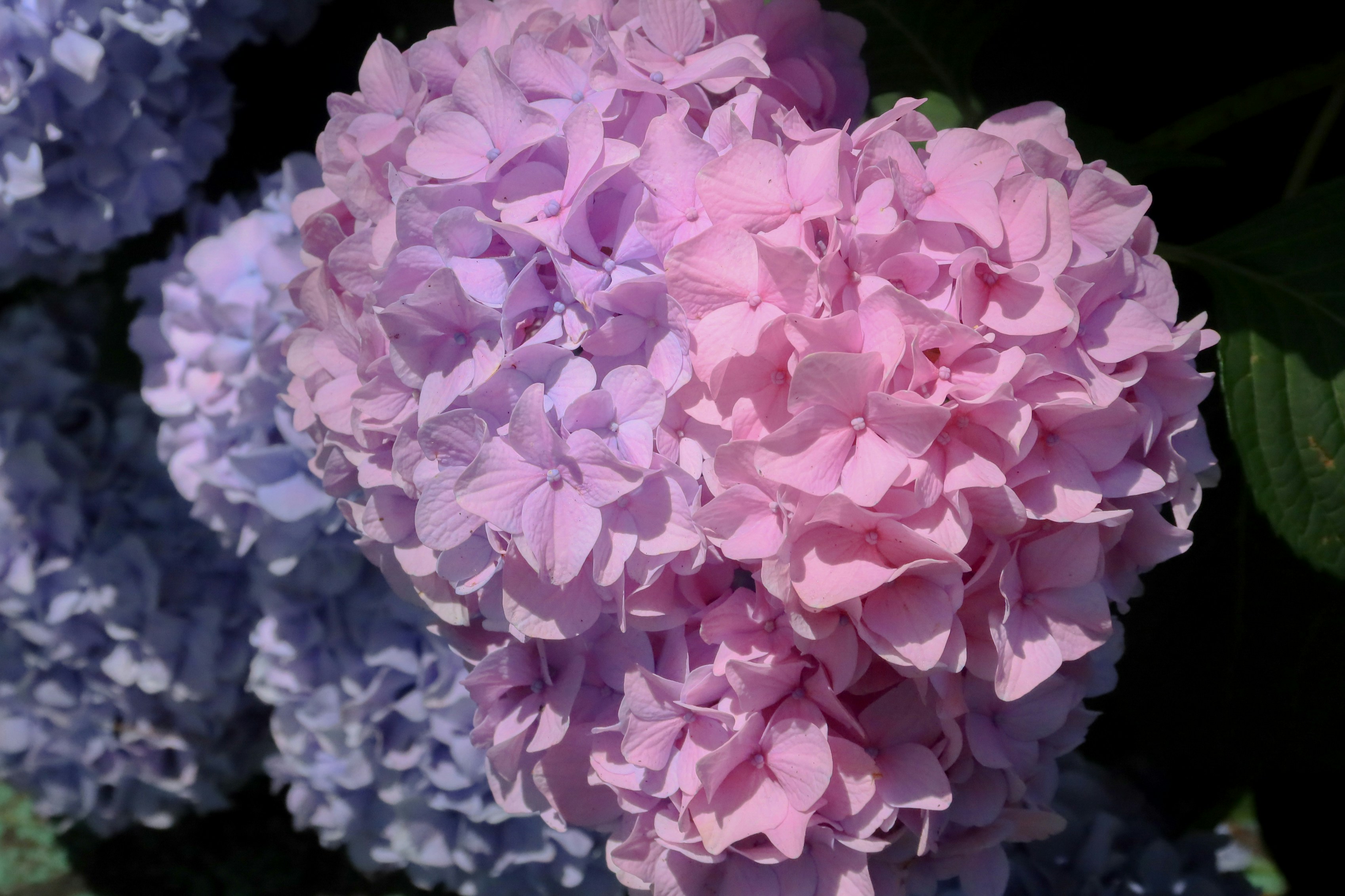 Photo by ellencreativestudio