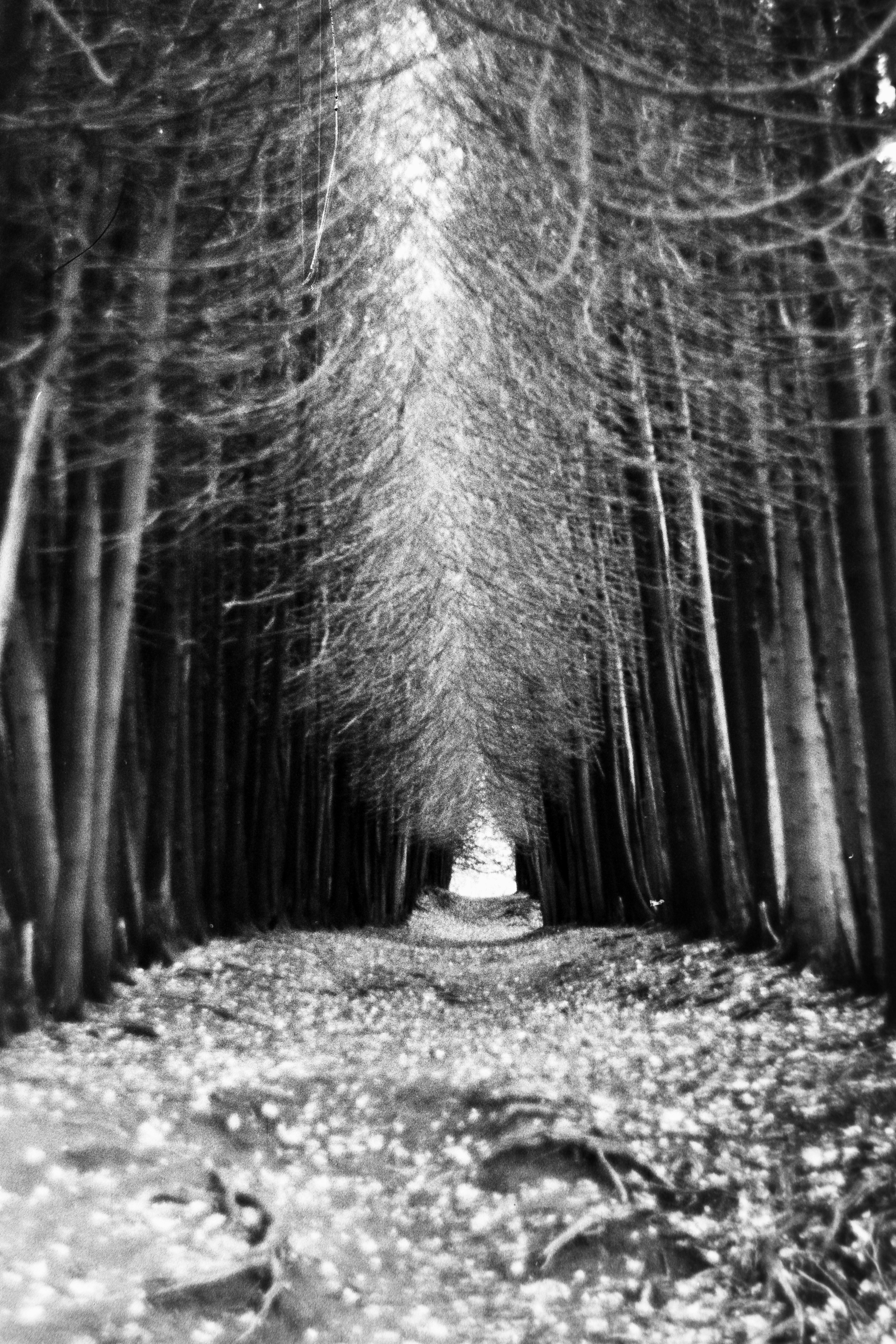 Photo by leksyandrow