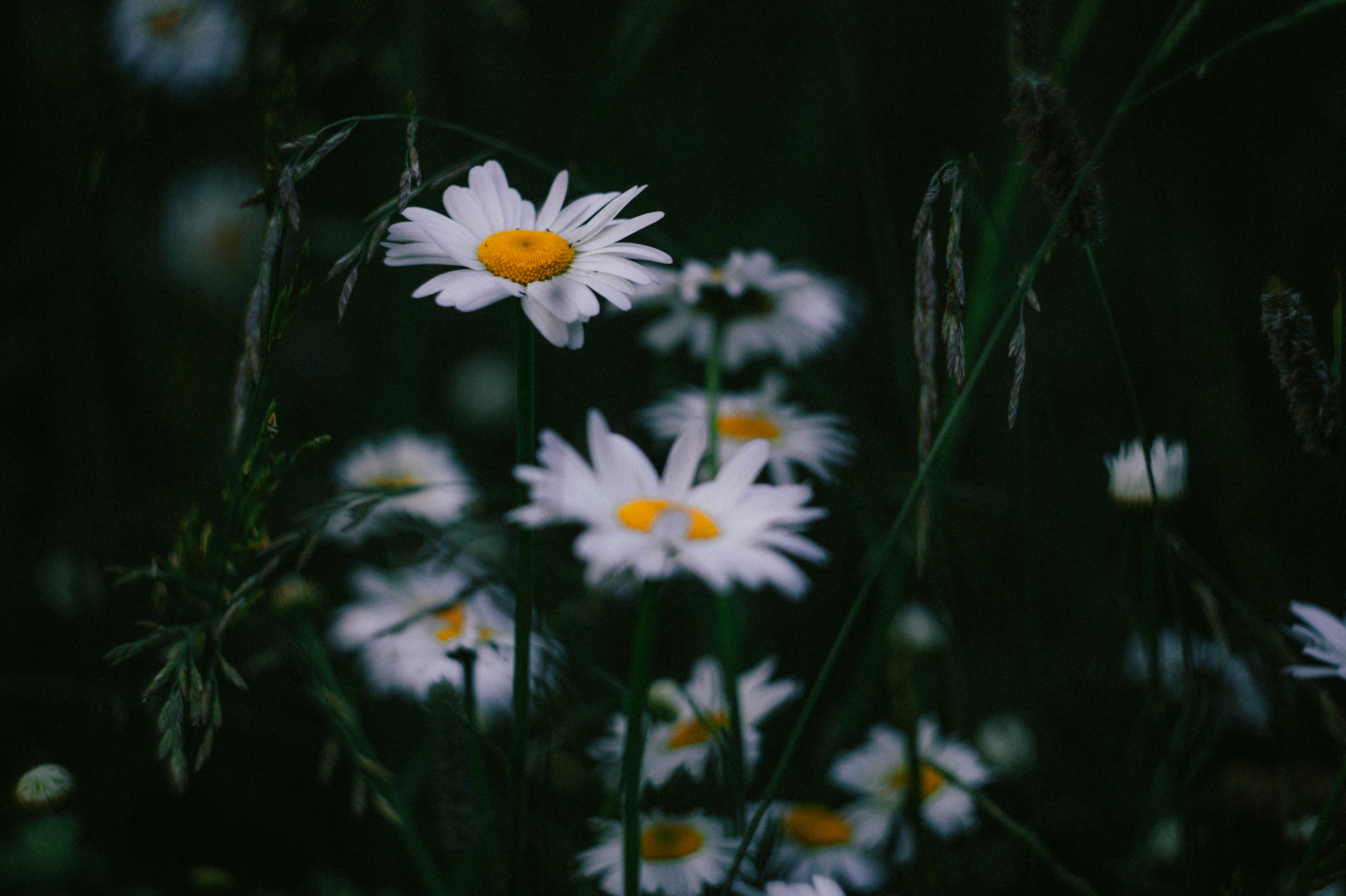 Photo by leksyandrow