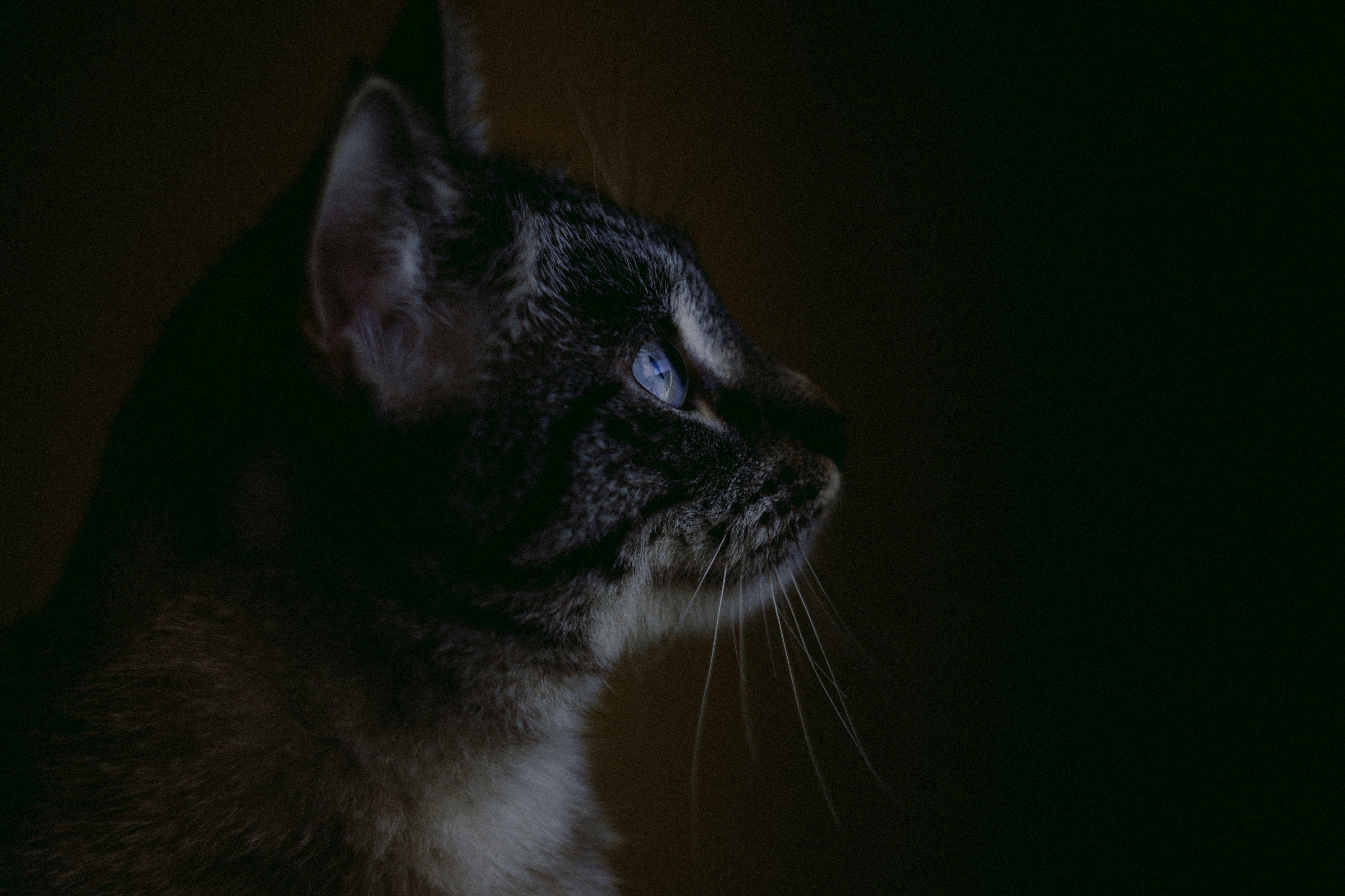 Photo by leksyandrow