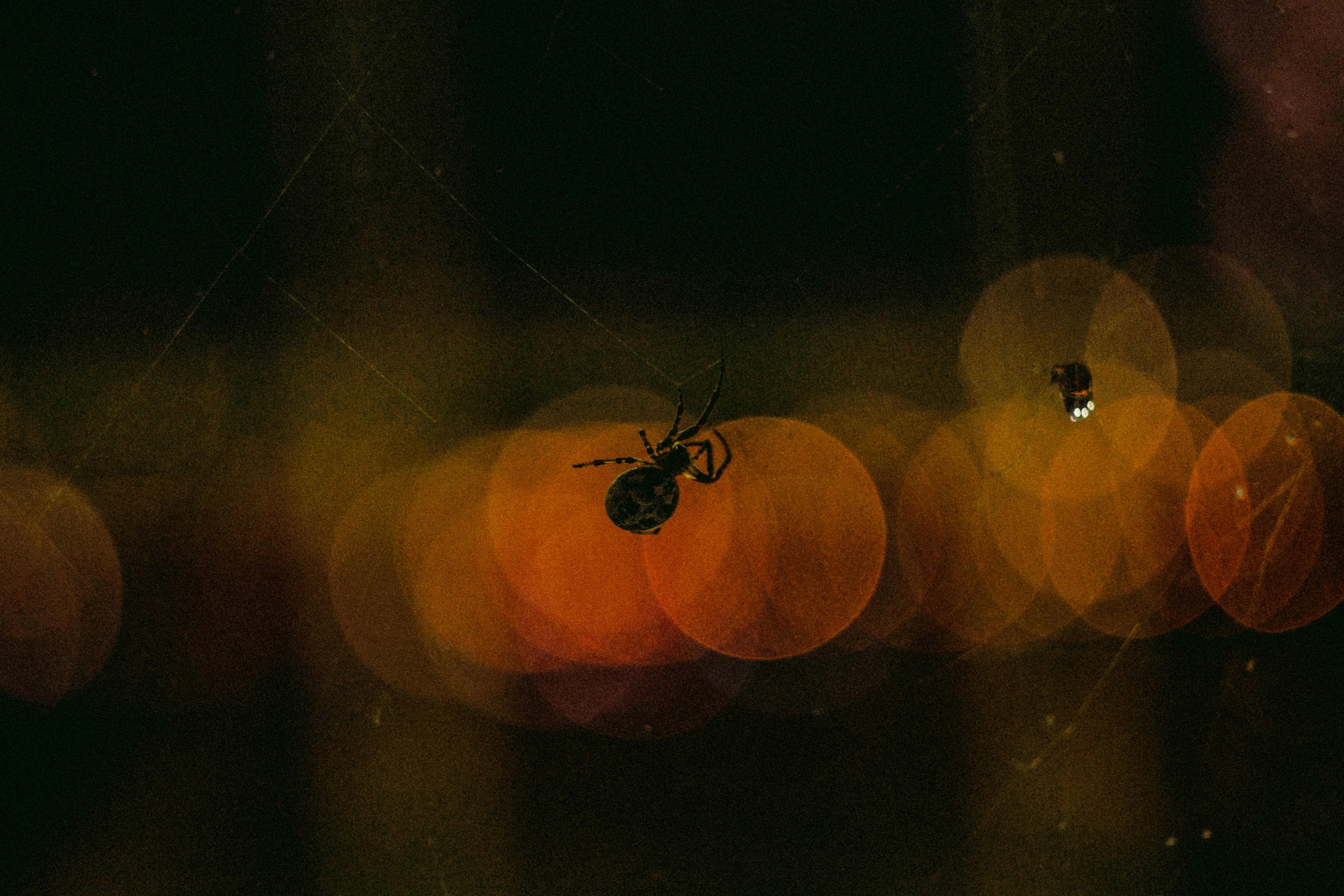 Photo by leksyandrow