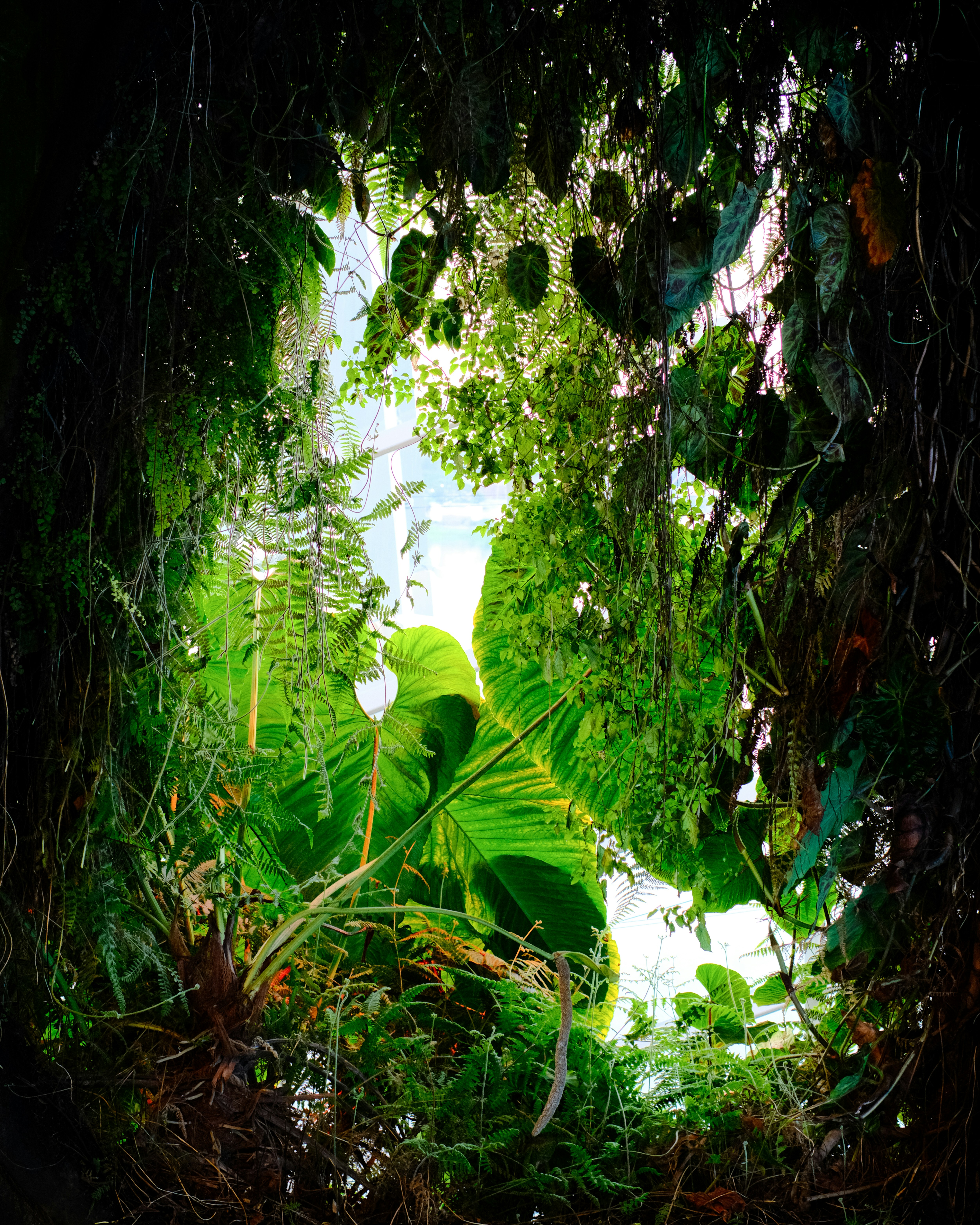 Photo by farnaz________