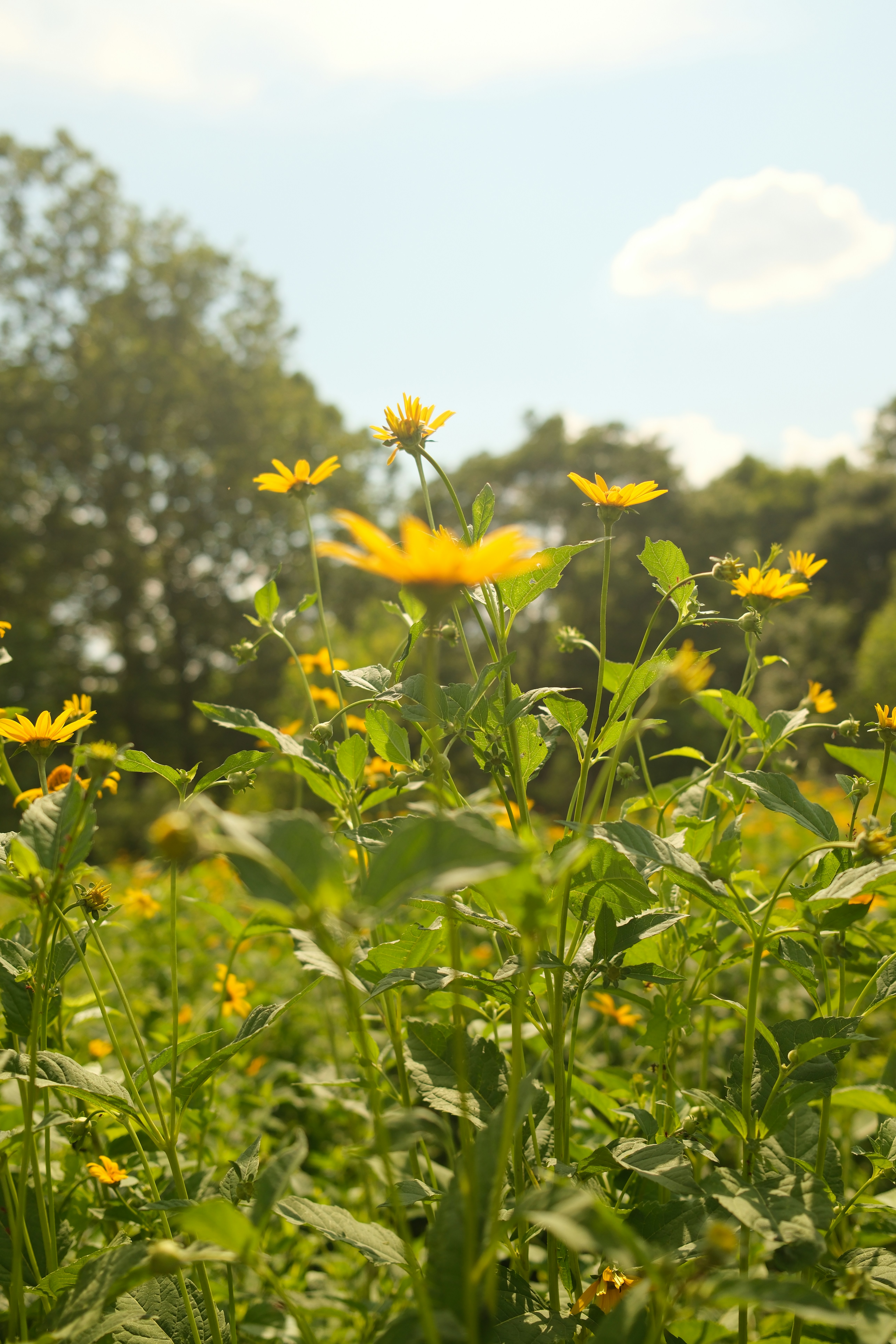 Photo by meganmajocha