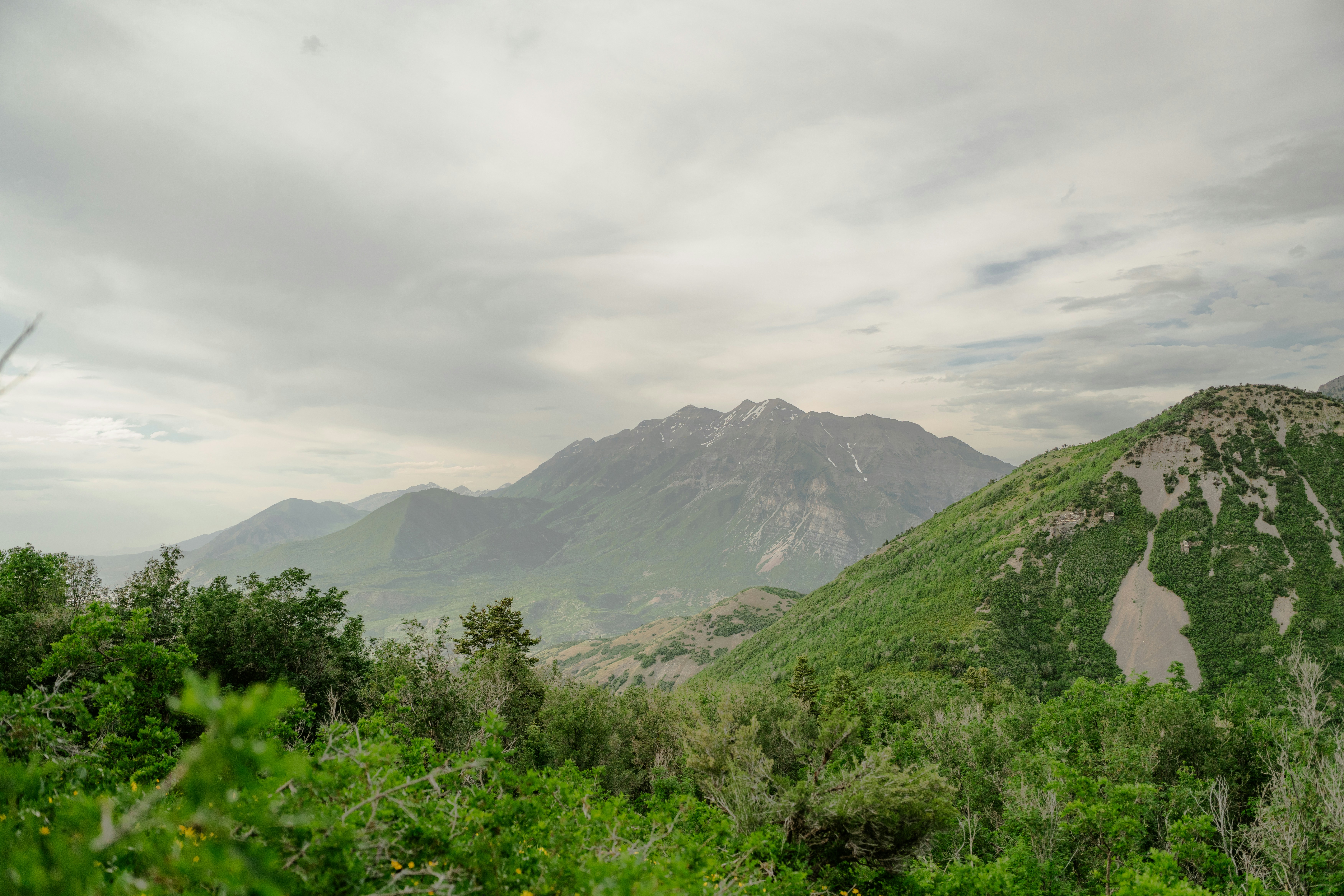 Photo by wonderwallphotos