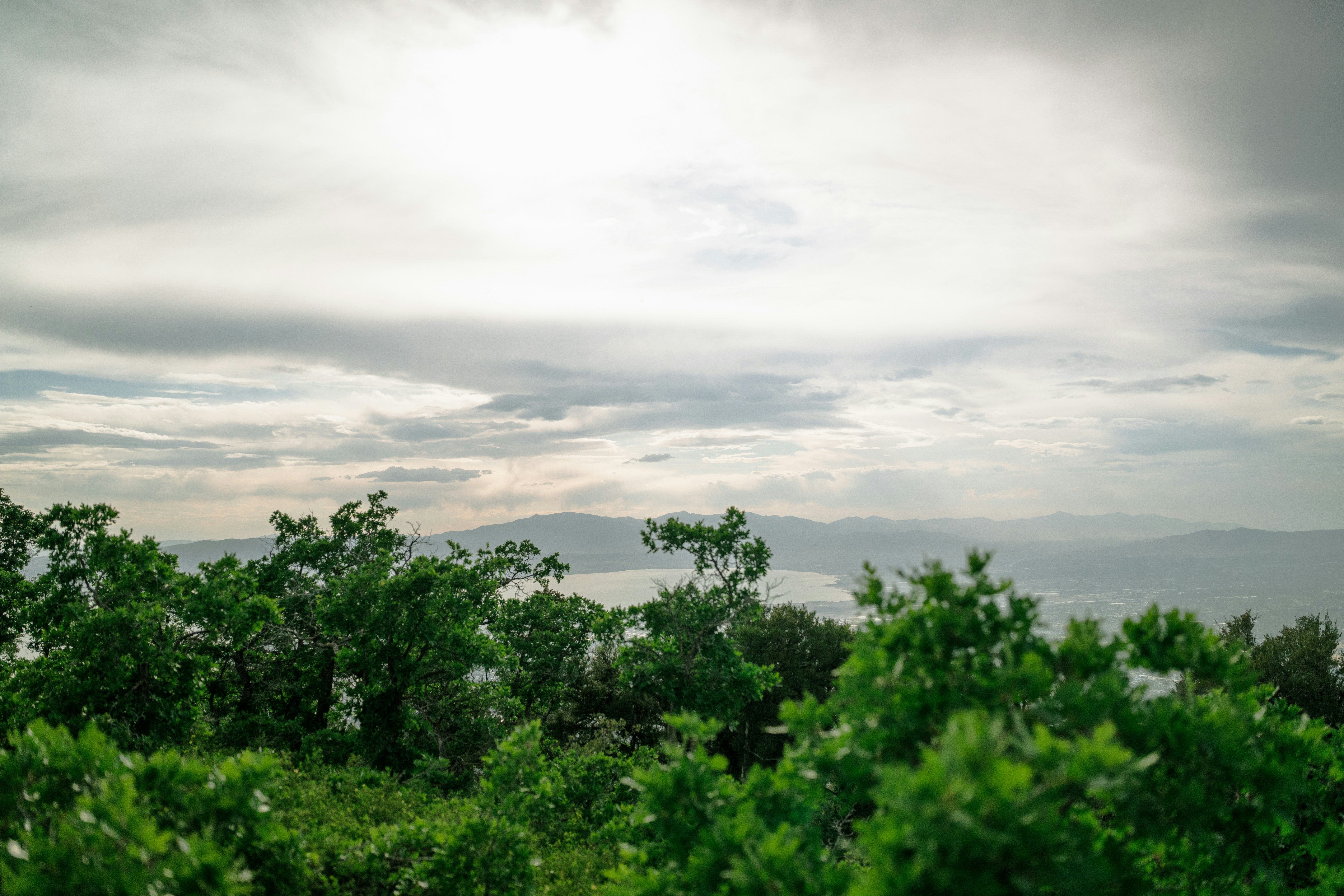 Photo by wonderwallphotos