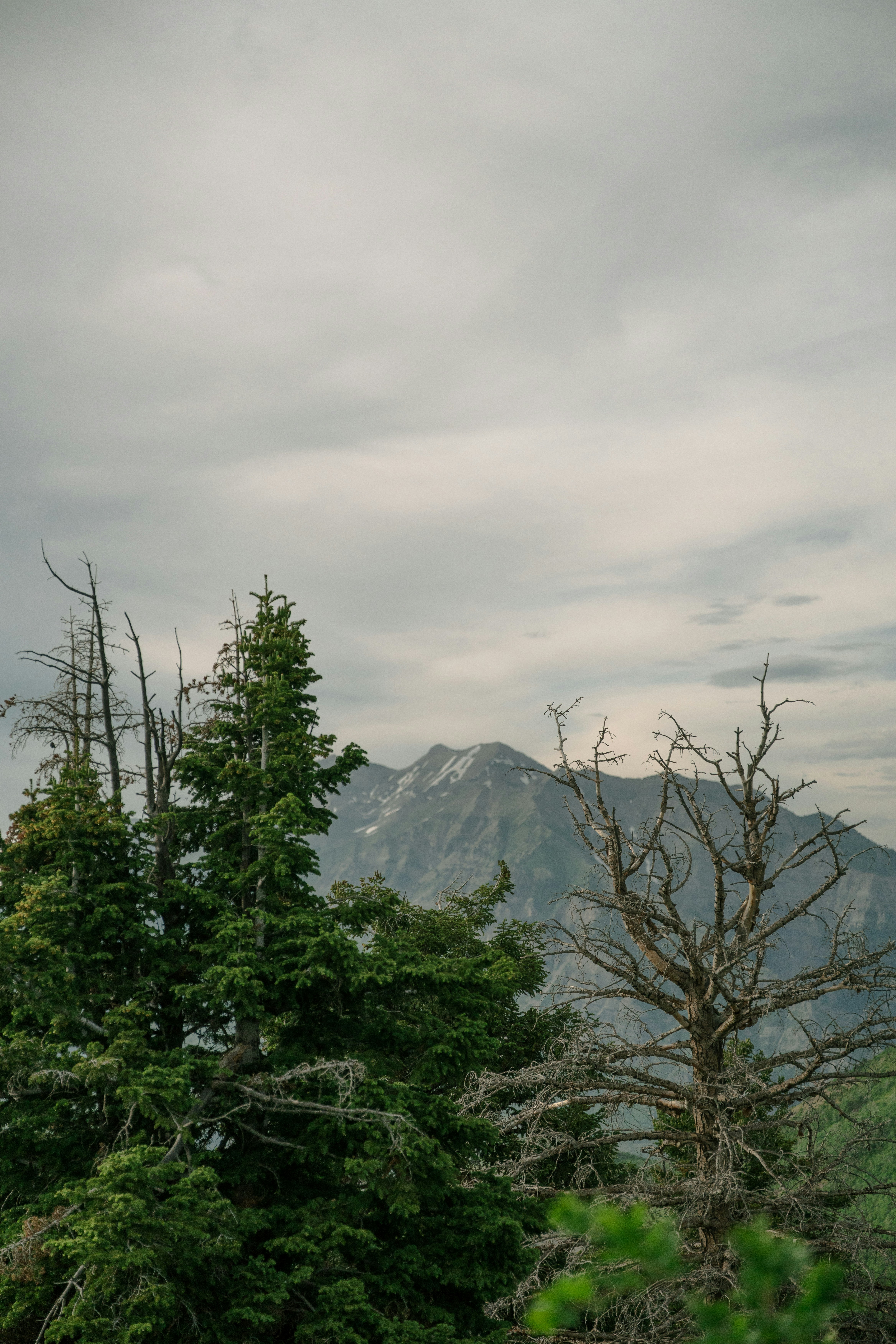 Photo by wonderwallphotos