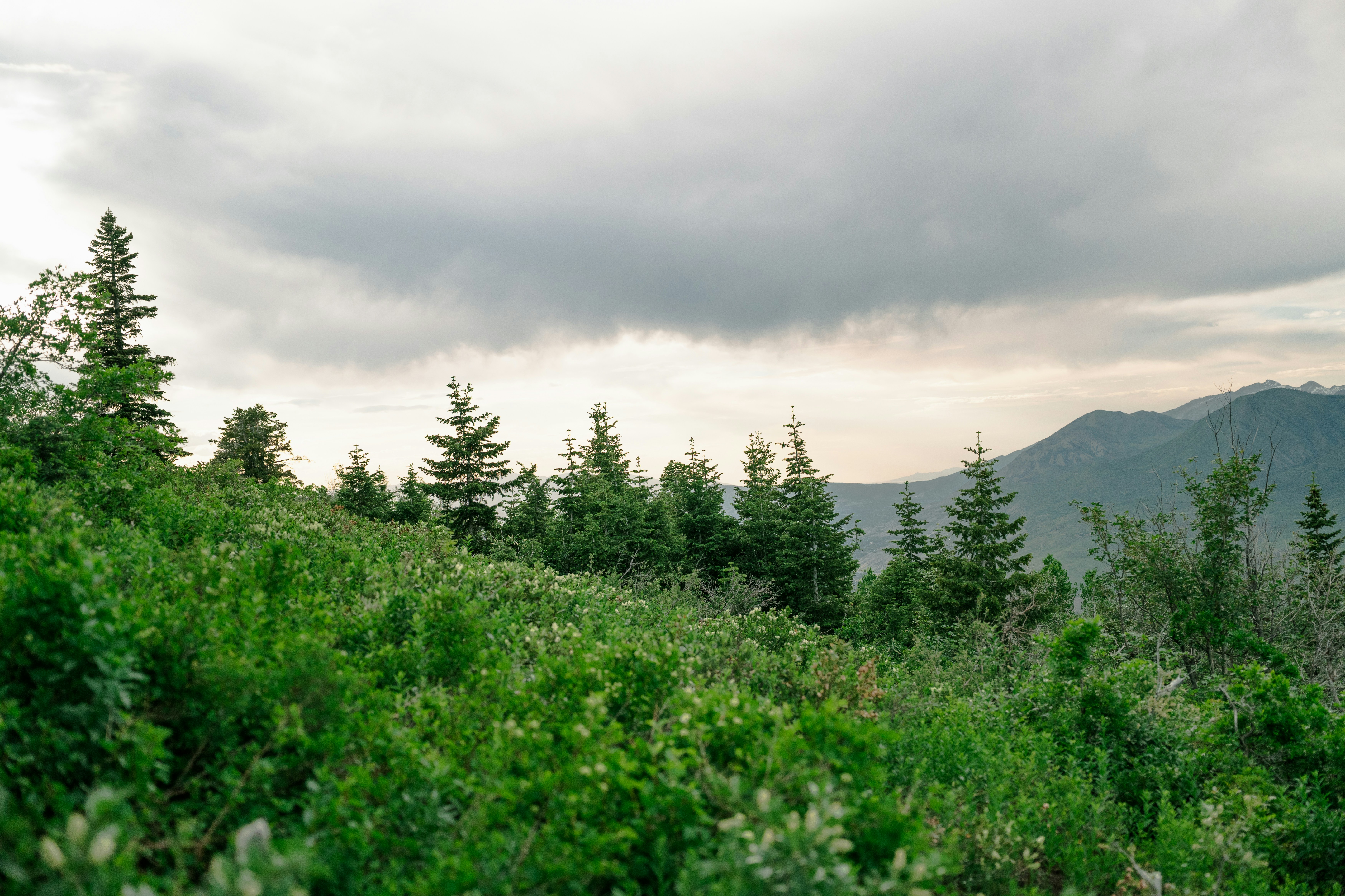 Photo by wonderwallphotos