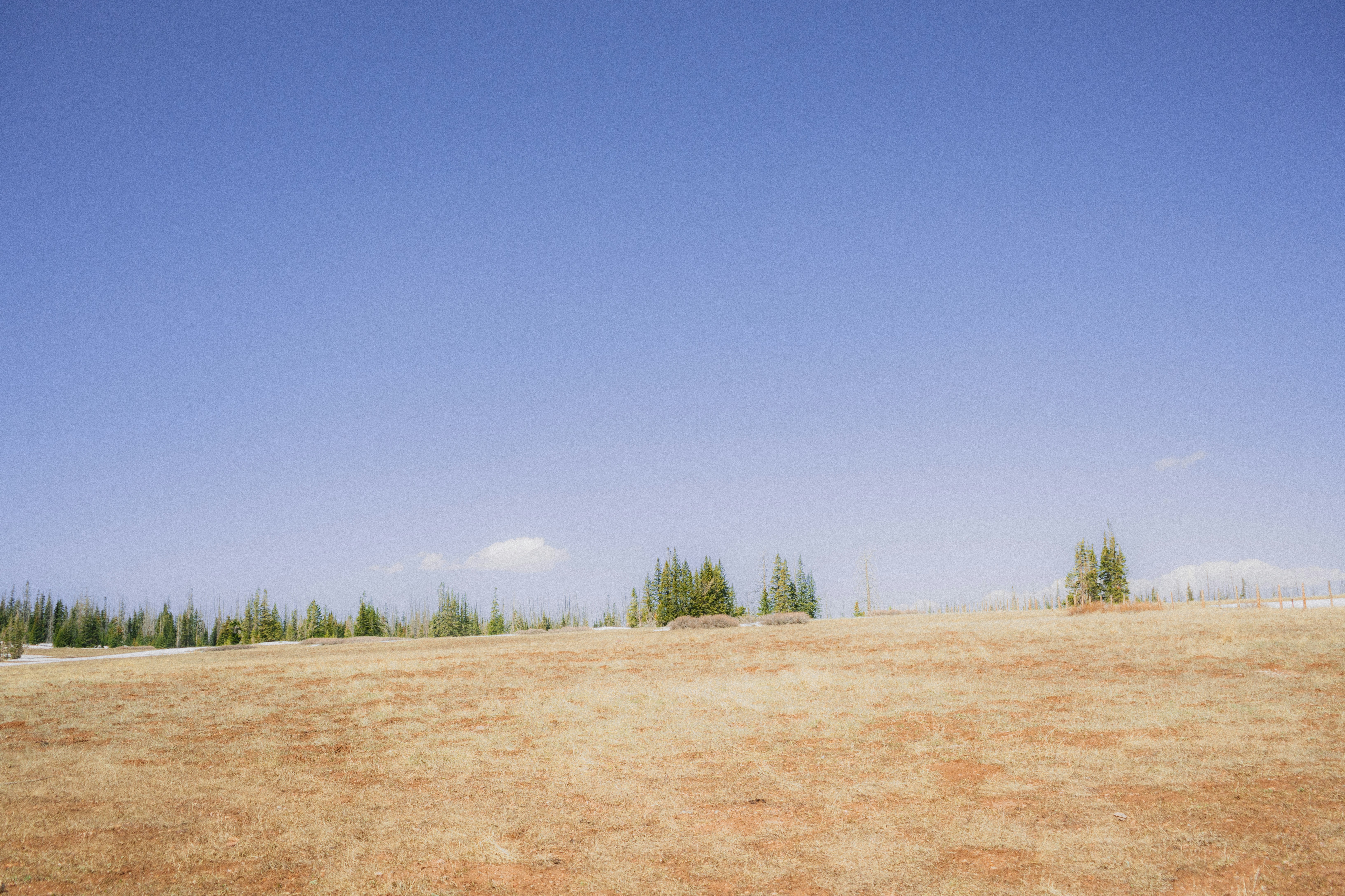 Photo by wonderwallphotos