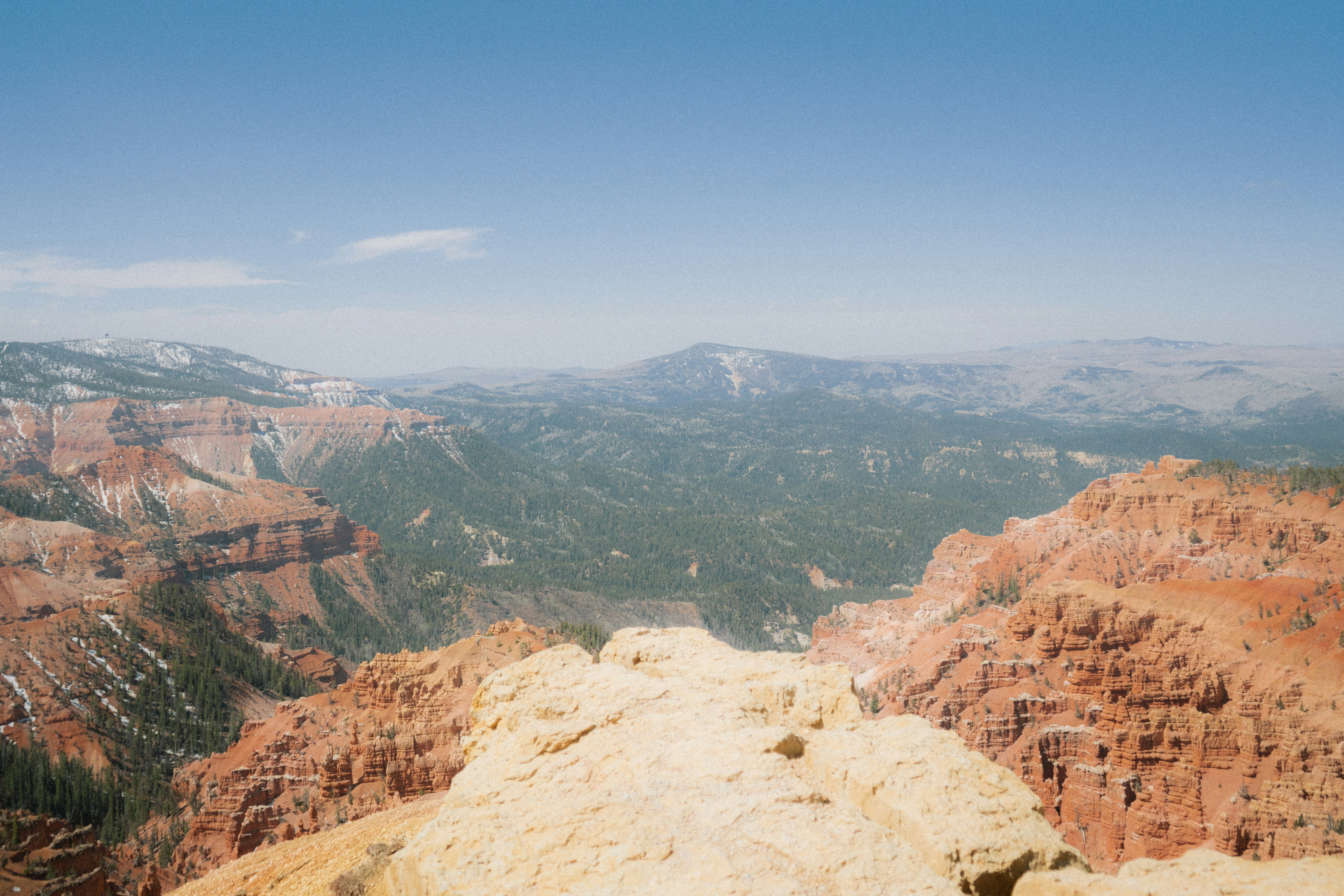 Photo by wonderwallphotos