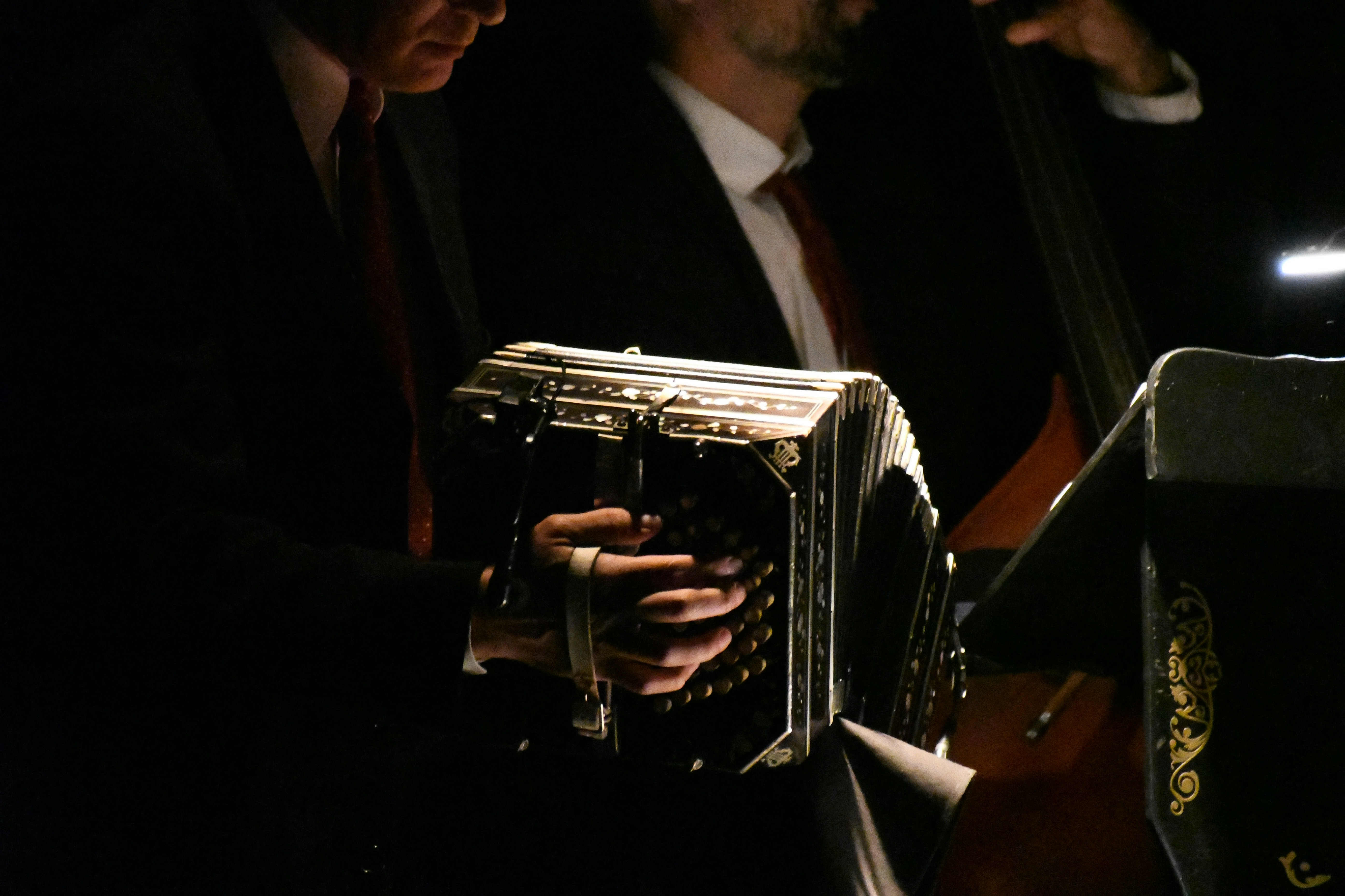 Musicians perform with an accordion and upright bass.