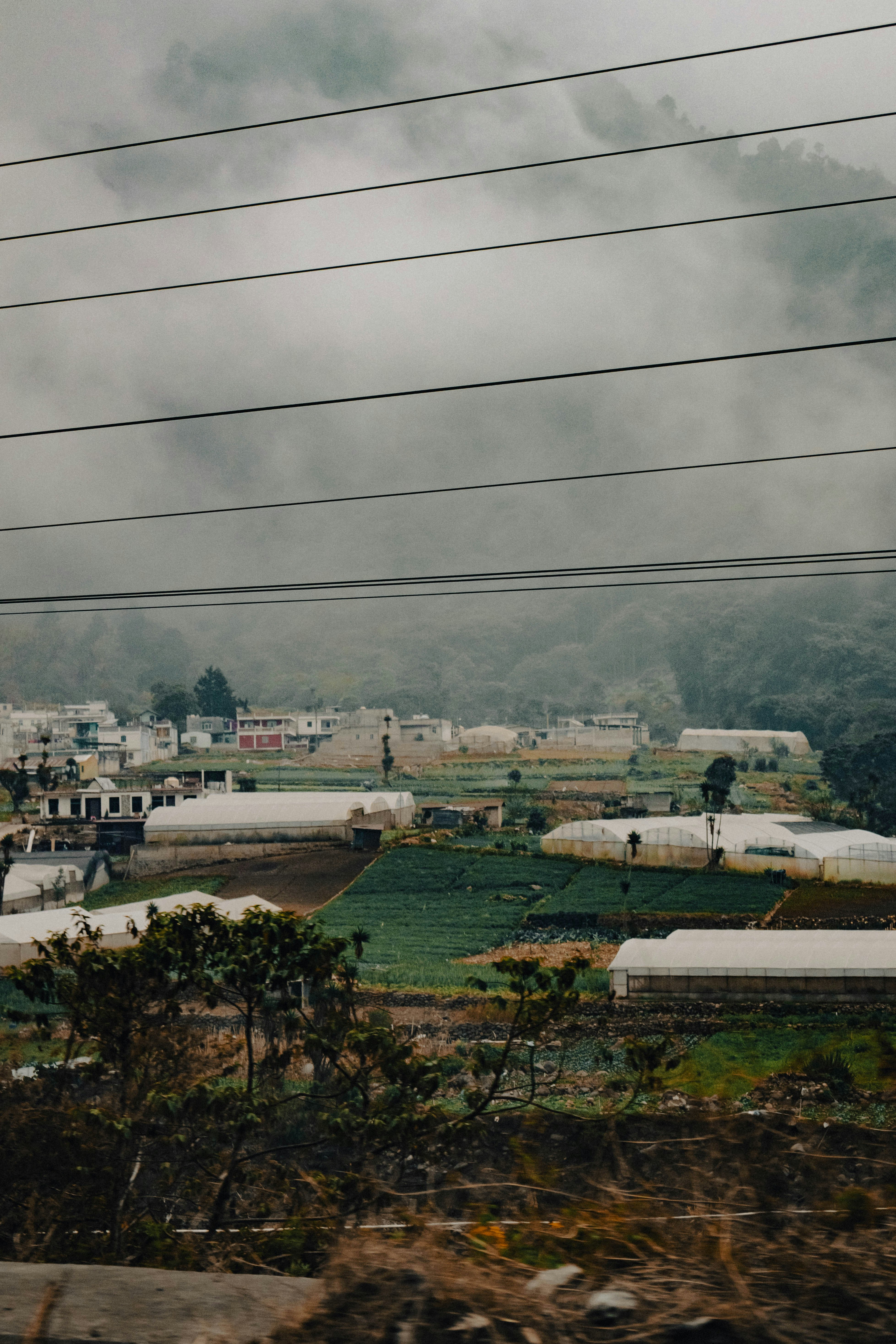 Greenhouses nestled in a misty mountain valley.