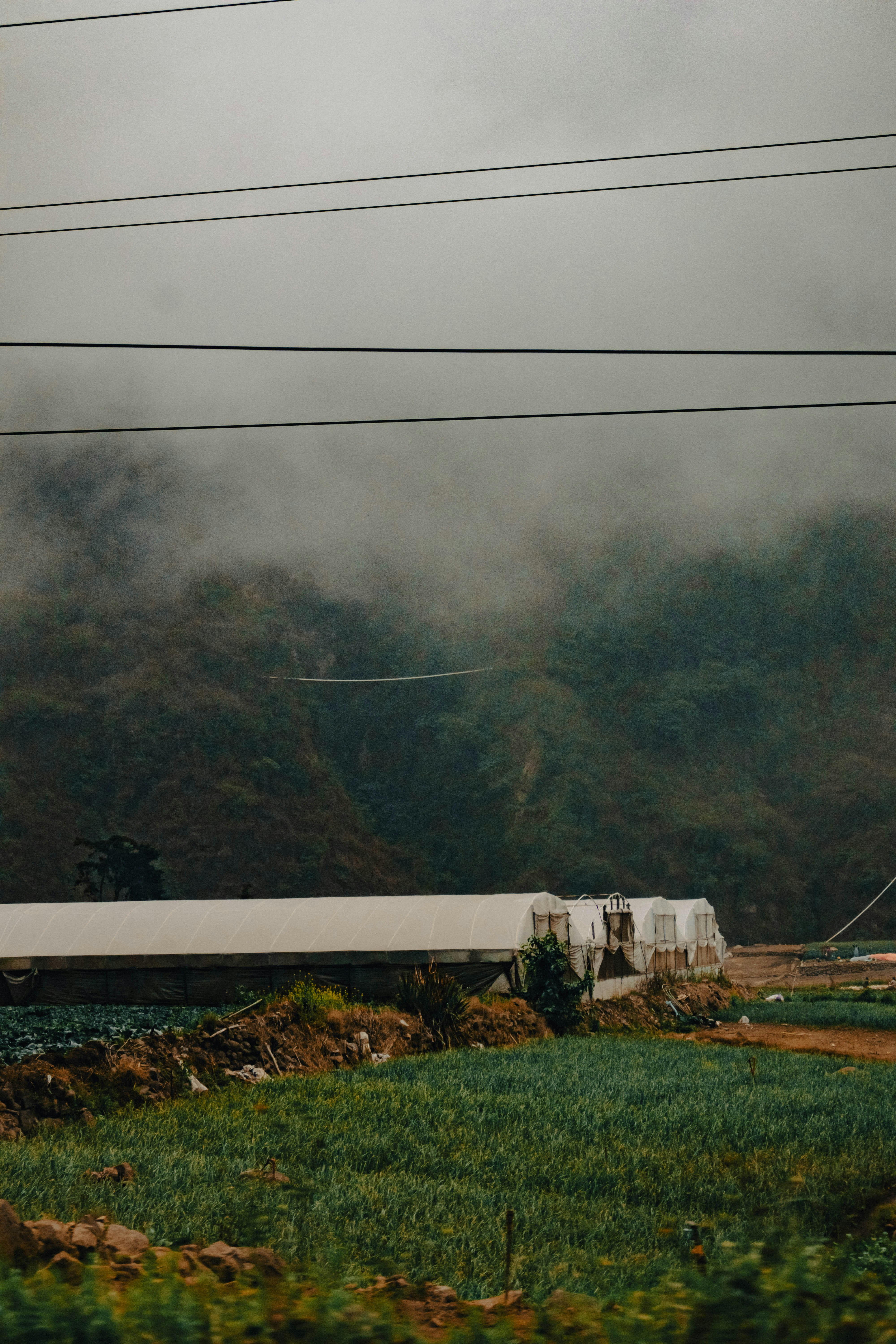 Fog covers the mountains above a farm.