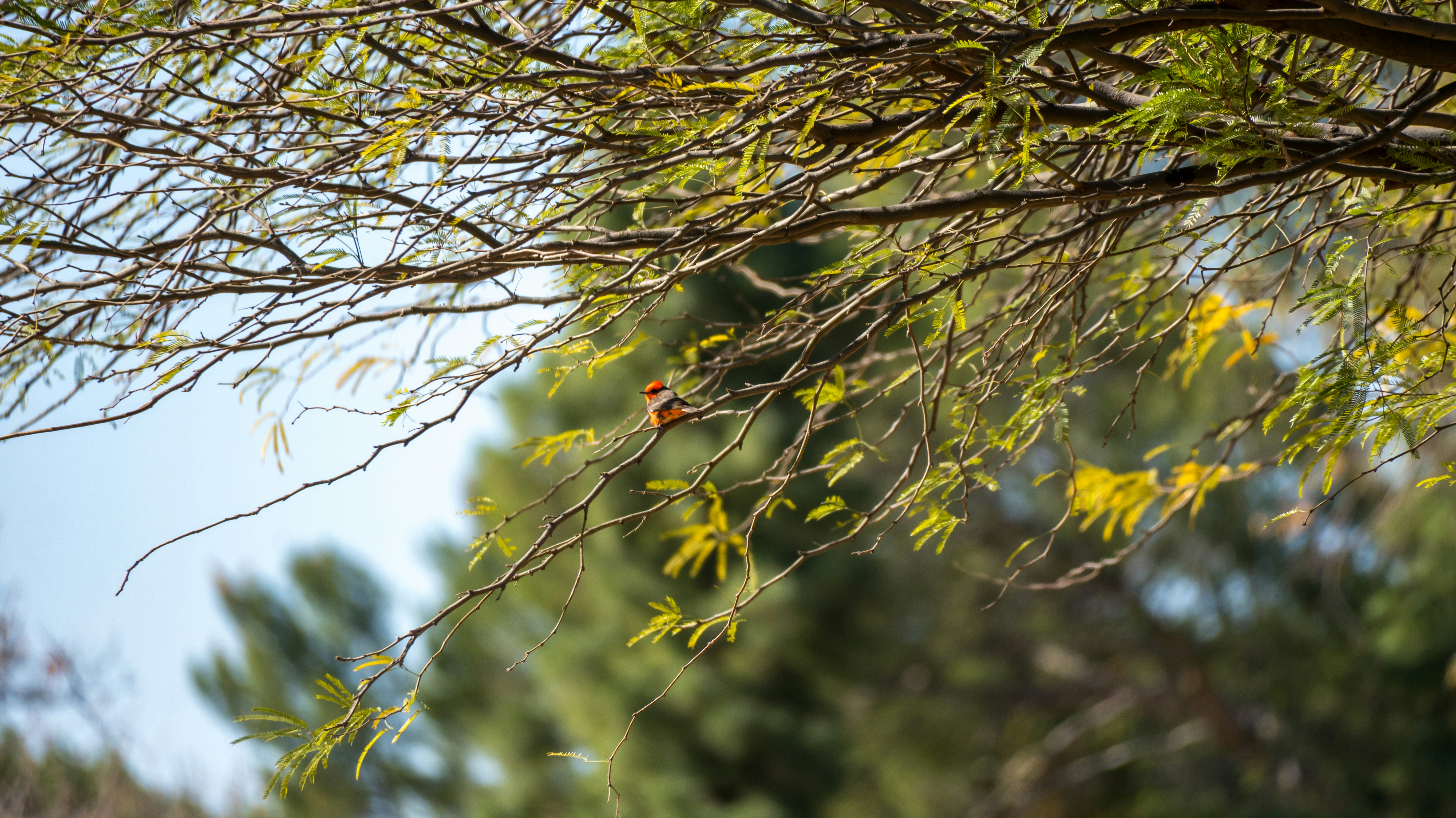 Photo by jcnonstop87